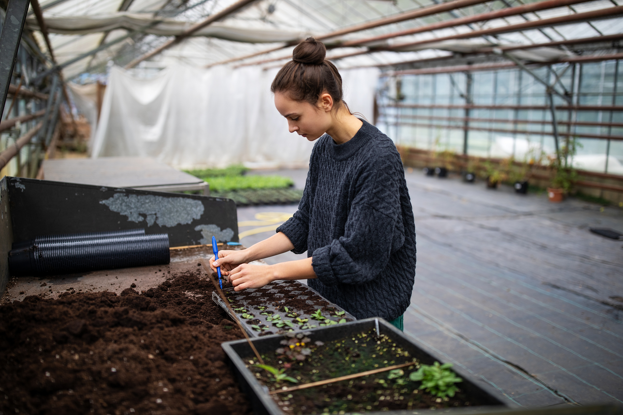 黑龙江农业经济职业学院五年制大专如何 办学靠谱吗