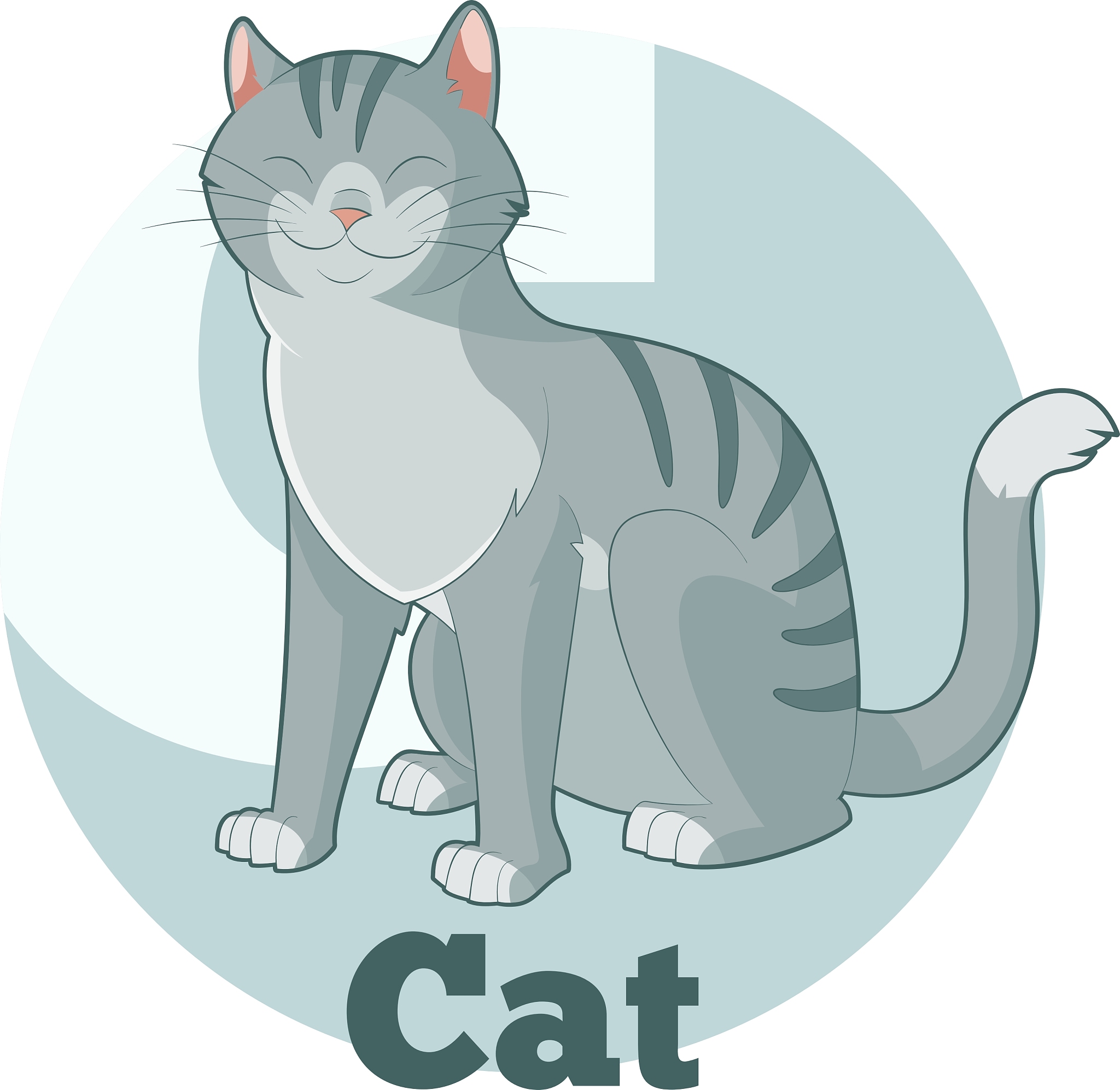 Top 20 Popular Cat Names: Find the Perfect Name for Your Feline Friend