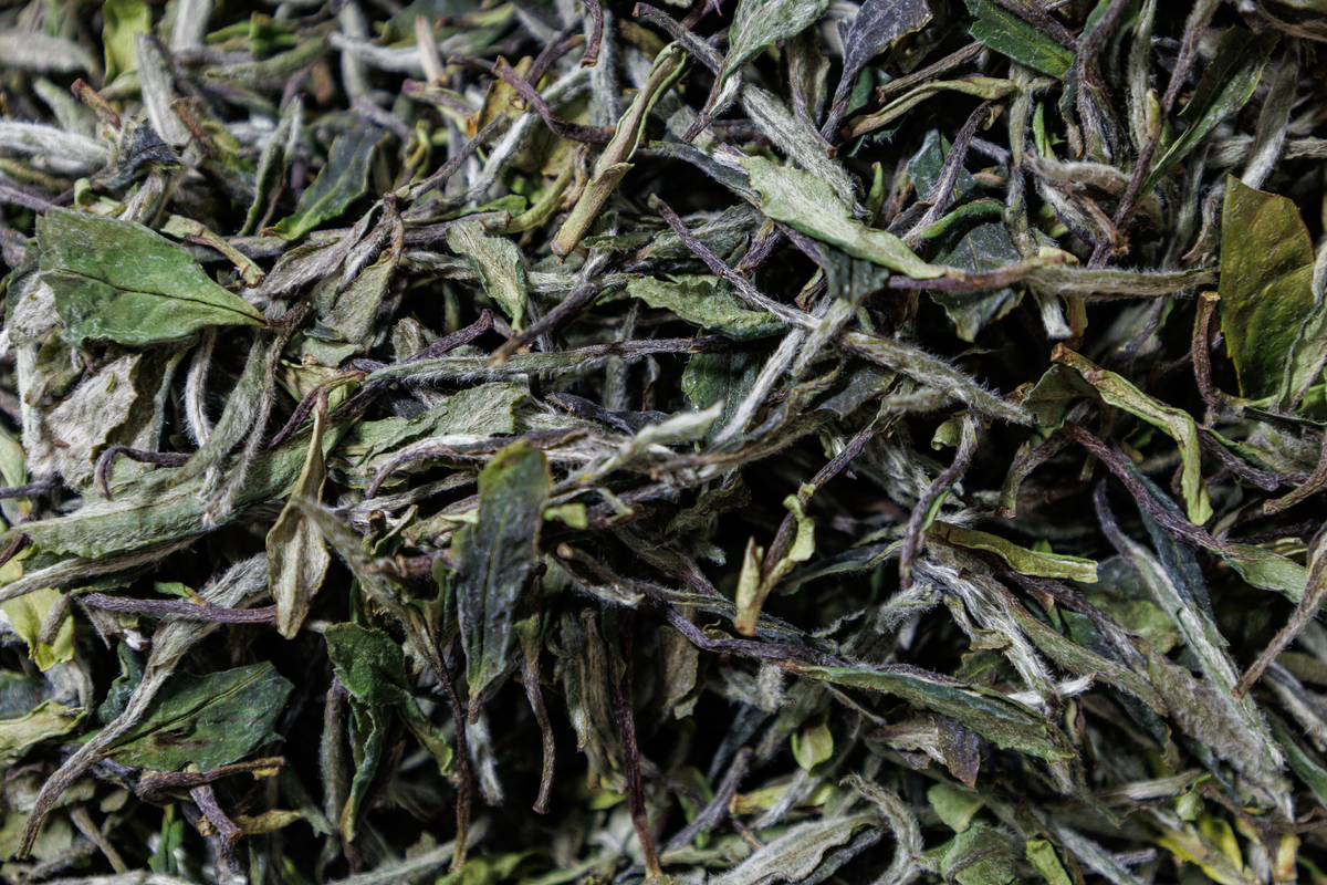 白茶香味起个好听的名字