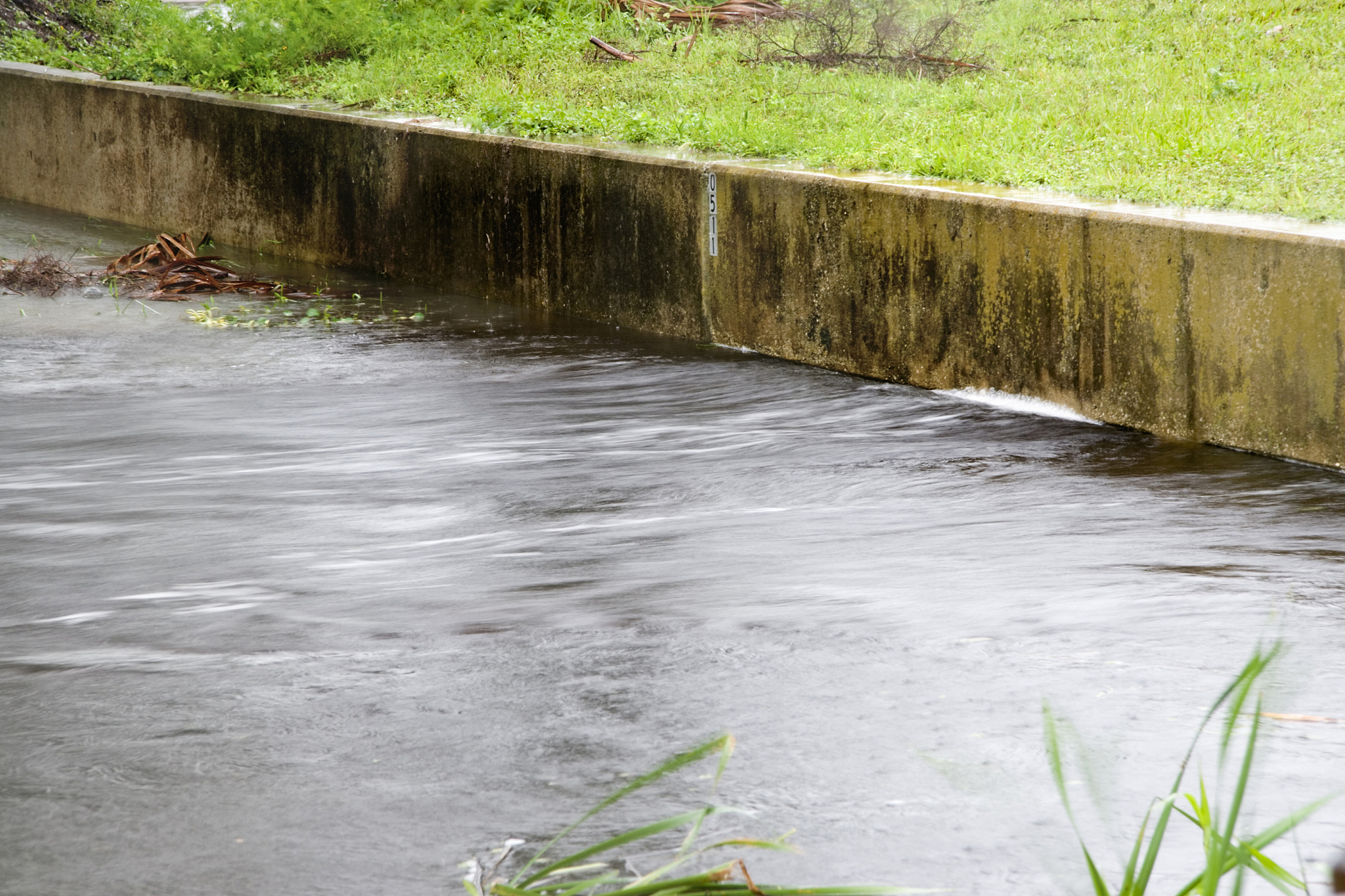 比较分析各种雨水收集系统的雨水处理方法英文