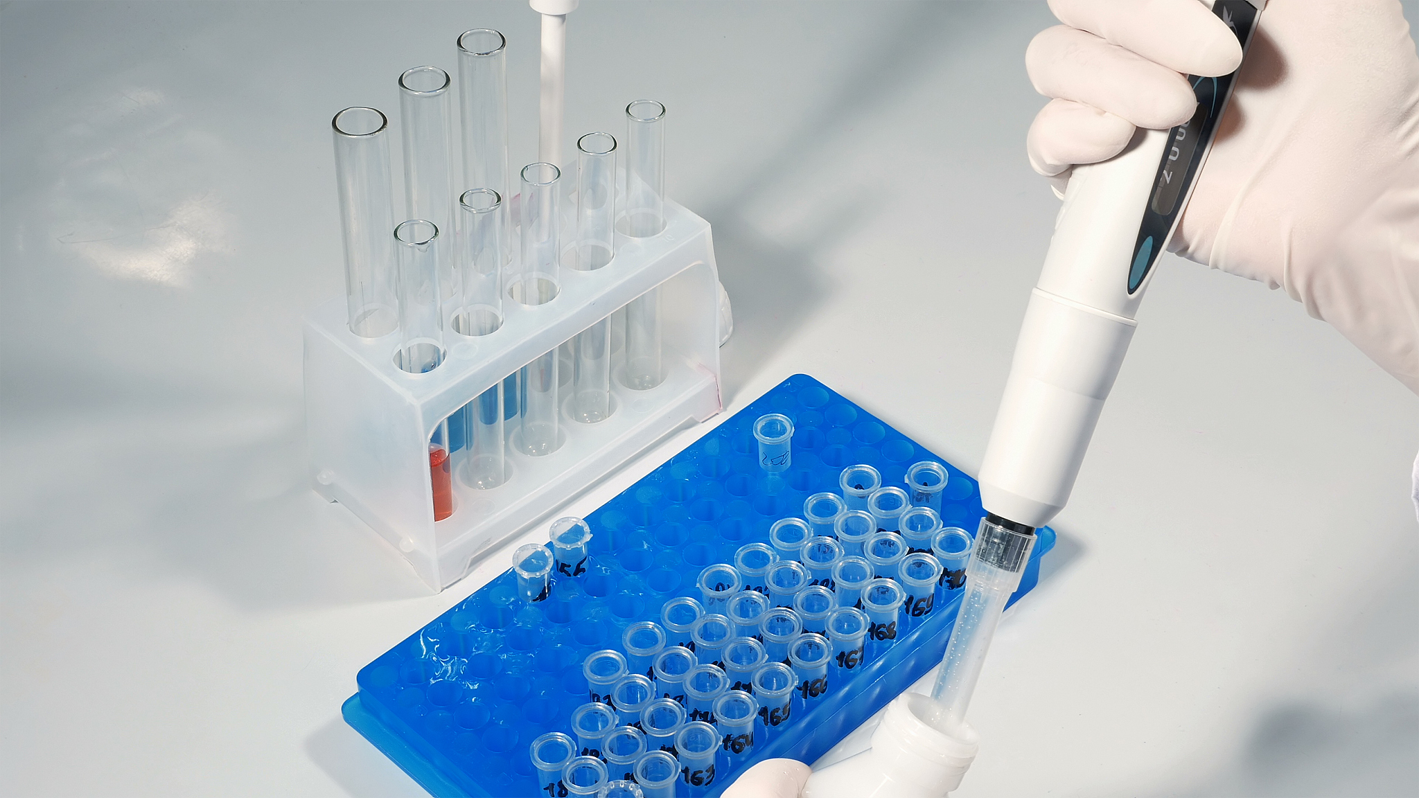 重庆化工职业学院开设新专业，招生规定公布！