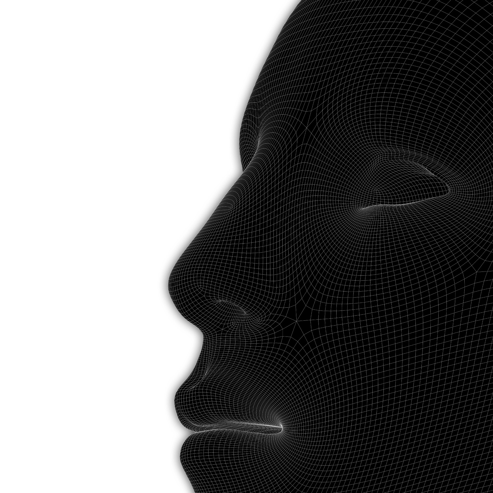 Stable Diffusion 生成图像偏差：以白人男性为主