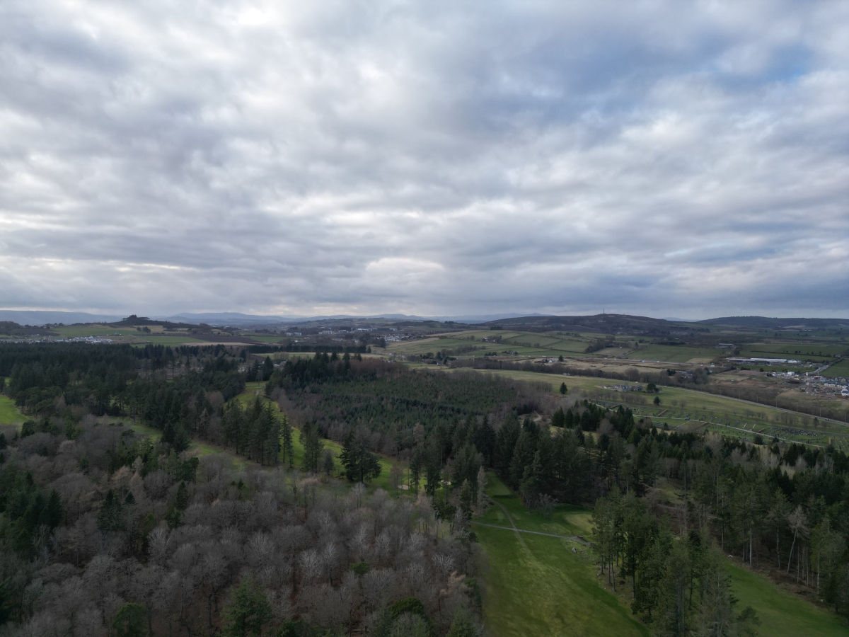 德克萨斯州在美国是怎样的存在?(美国德克萨斯洲位置)