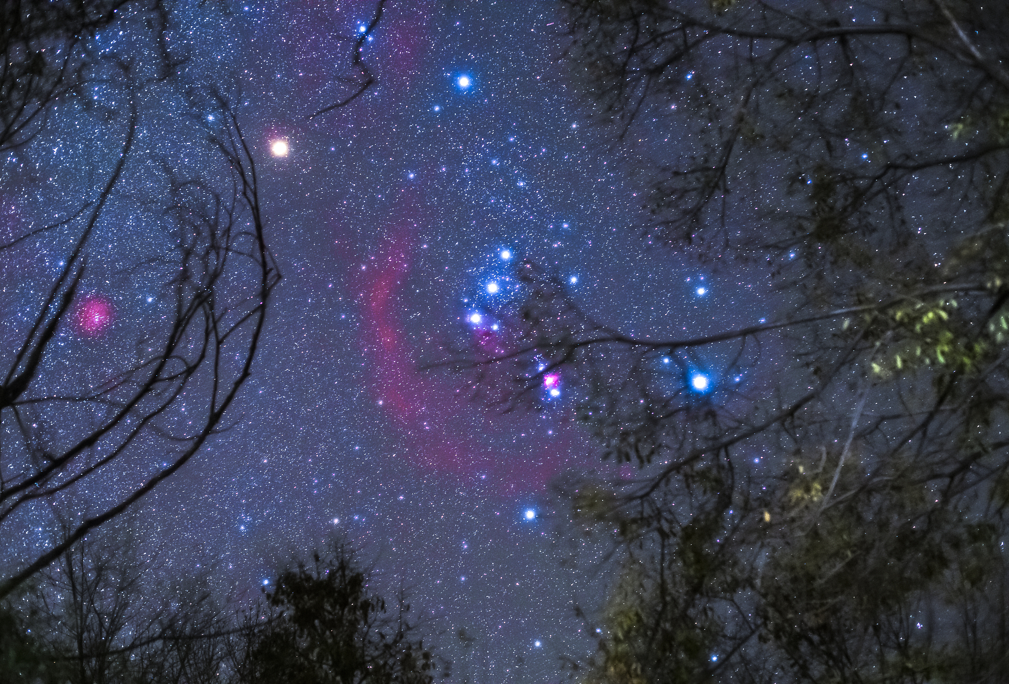 夜空繁星，如宇宙花海般璀璨闪烁