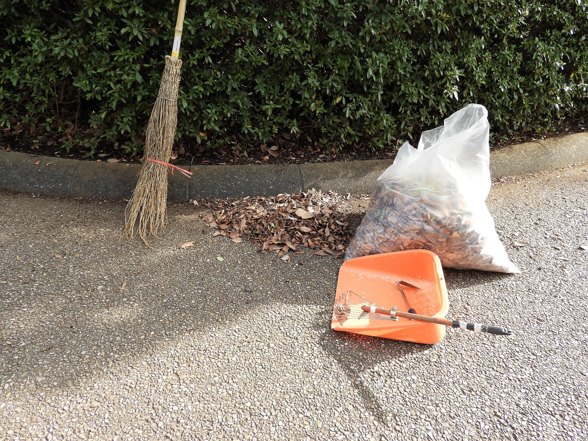 clean up