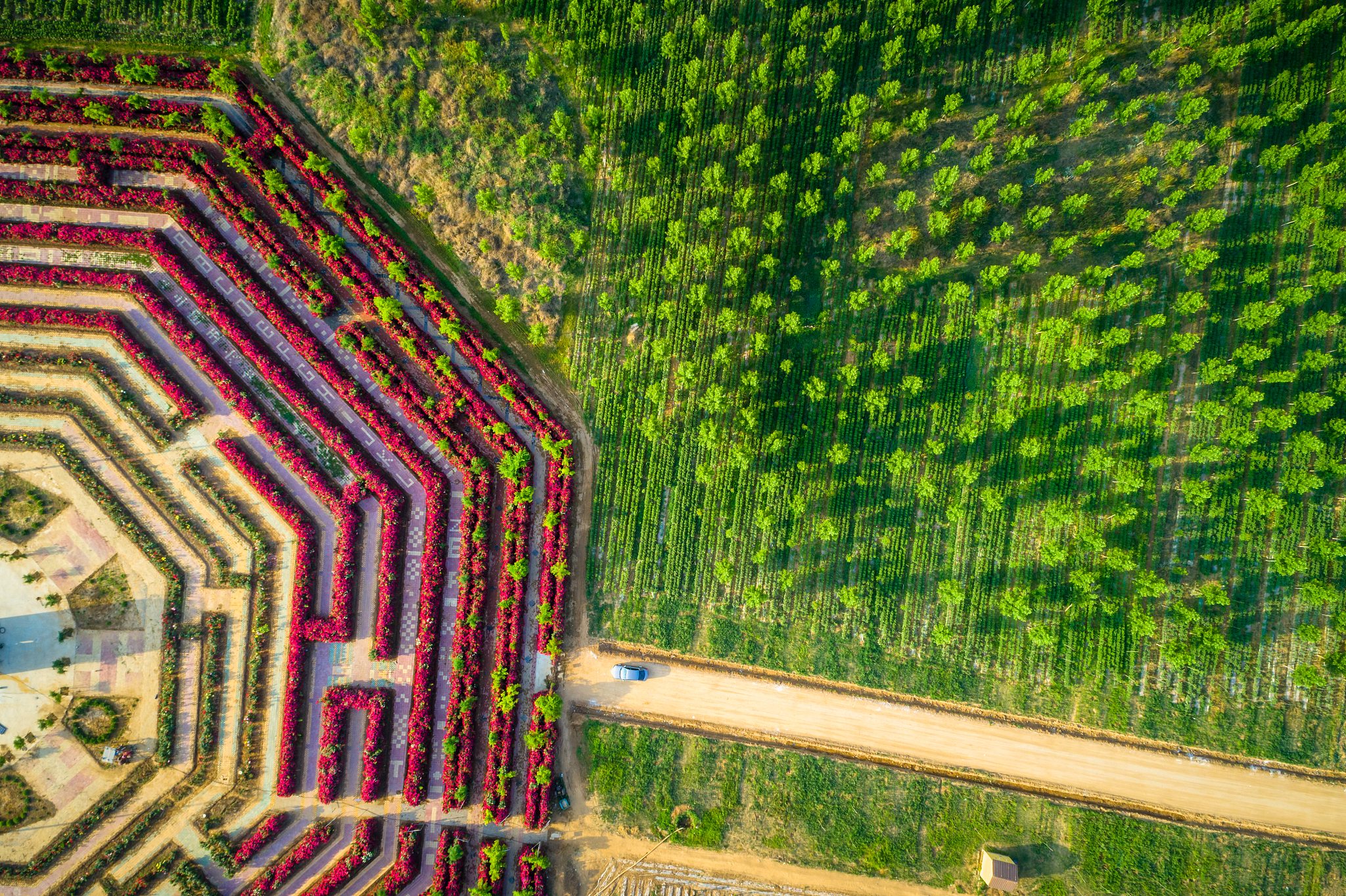 乡村振兴类游戏可以怎么做