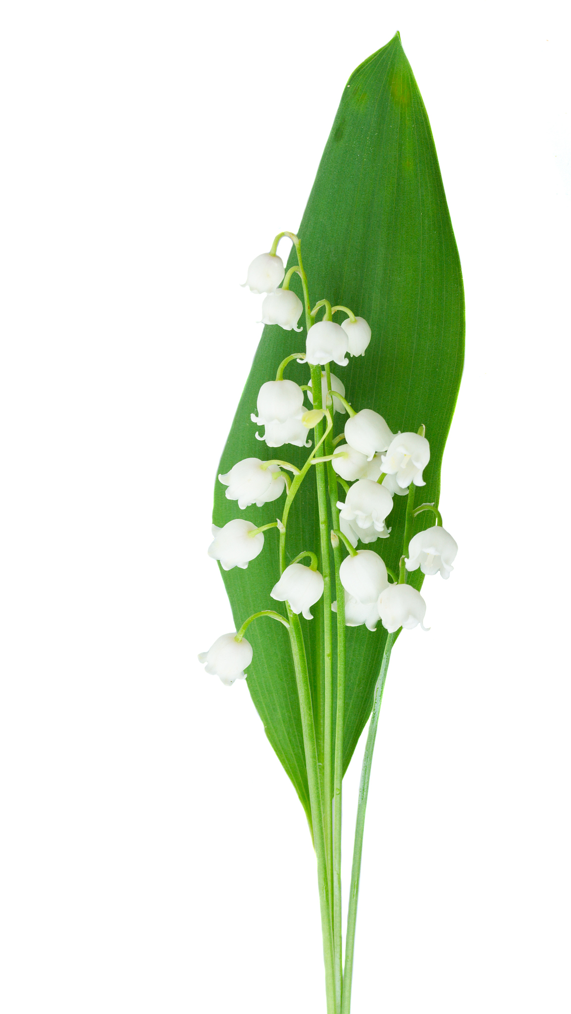 书写防溺水手环软件设计部分要体现程序的总体结构设计再分为各个部分程序功能实现的设计具体论述实现的功能再附对应的程序源代码