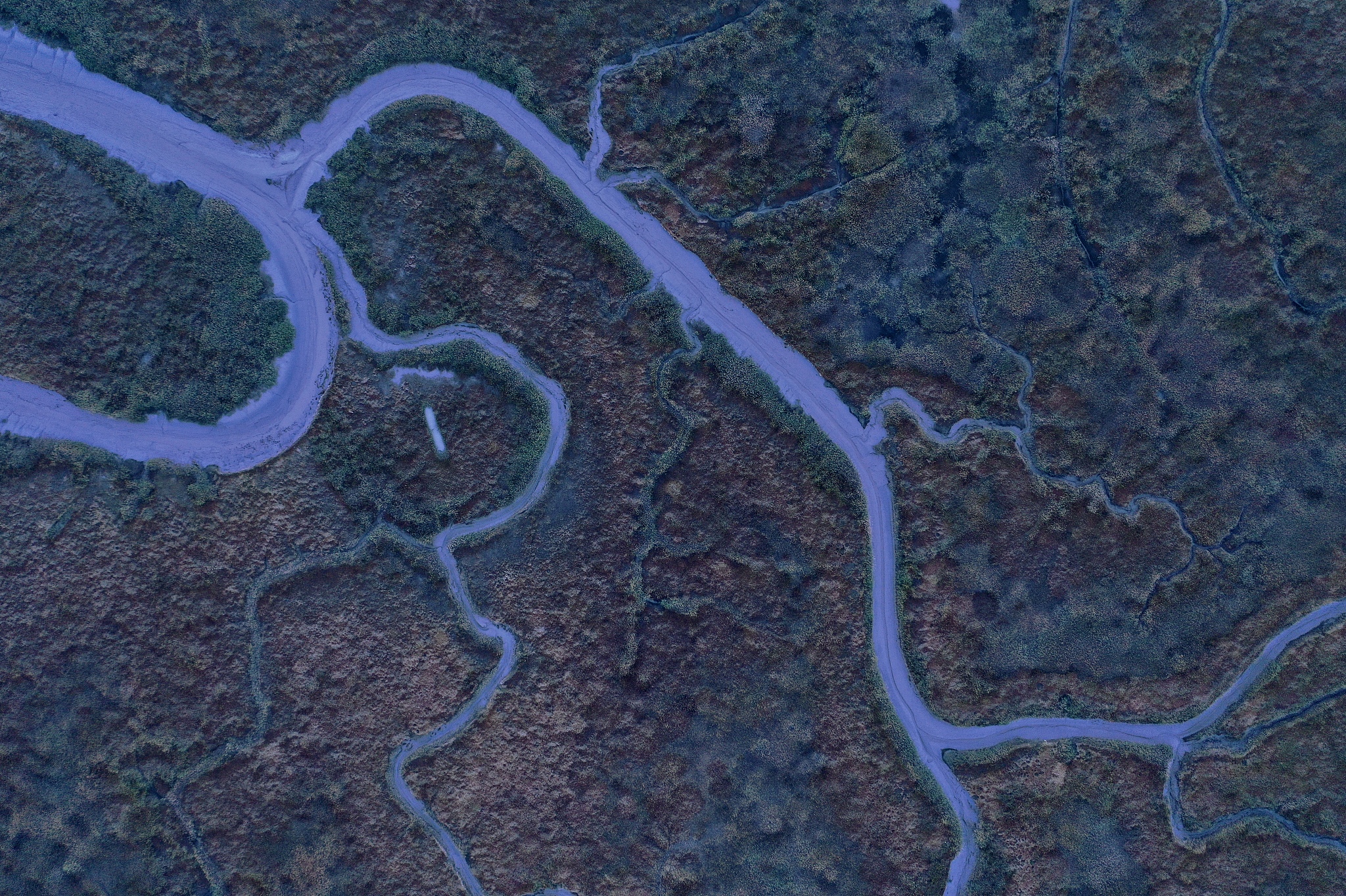 机械工程里面的脉动和那个力度是怎么求来的跟转速有关系吗