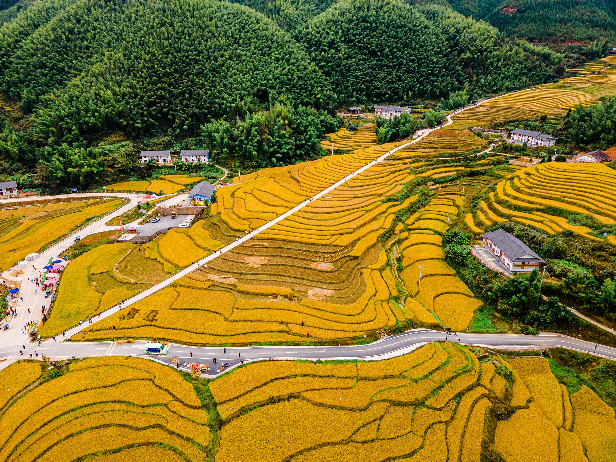 模仿王勃用文言文写一篇凤堰古梯田记，主题是凤堰，梯田，云海，油菜花，农耕