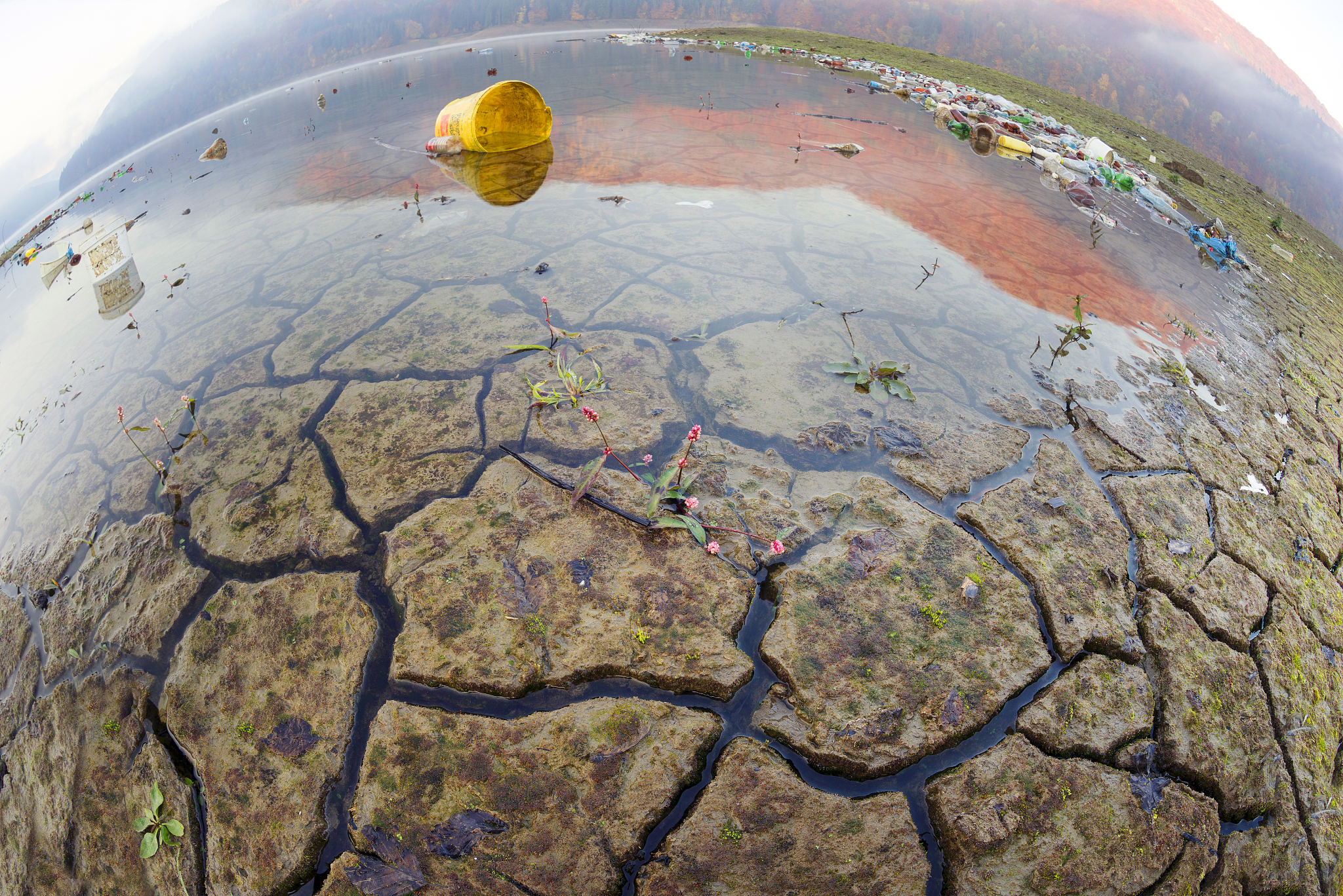 区域环境变化研究：气候、生态系统、水资源等主题 - Regional Environmental Change 期刊