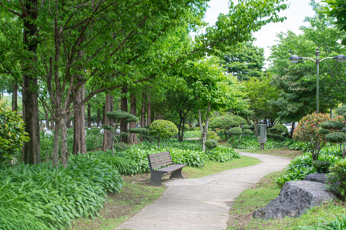 天心区南鑫社区有哪些工程项目帮我用200字详细描述