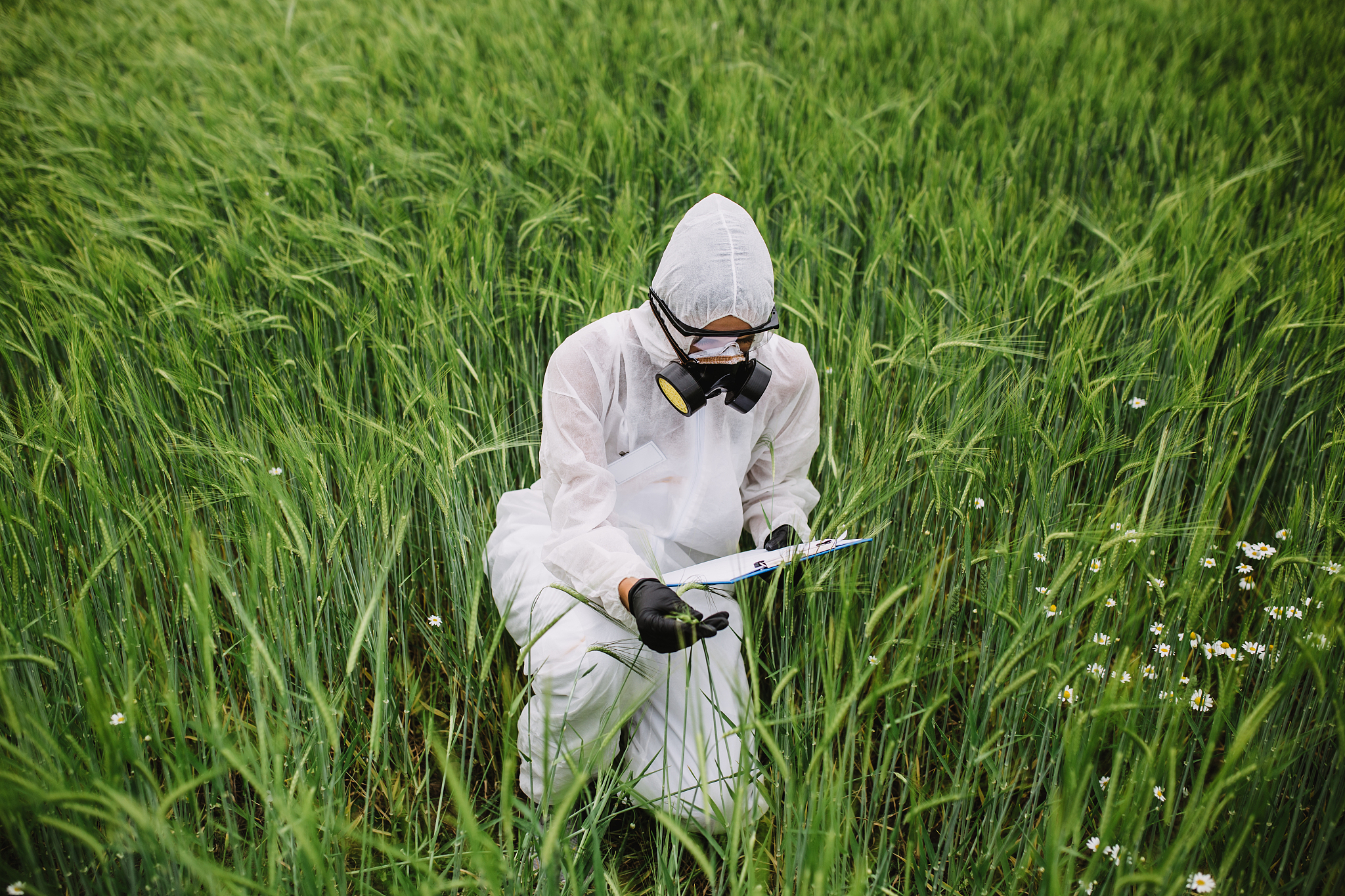 福建农业职业技术学院物流管理专业课程设置：培养全面物流管理人才