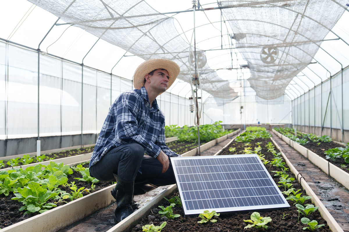 智慧农业农业科技创新和人才培养具体措施
