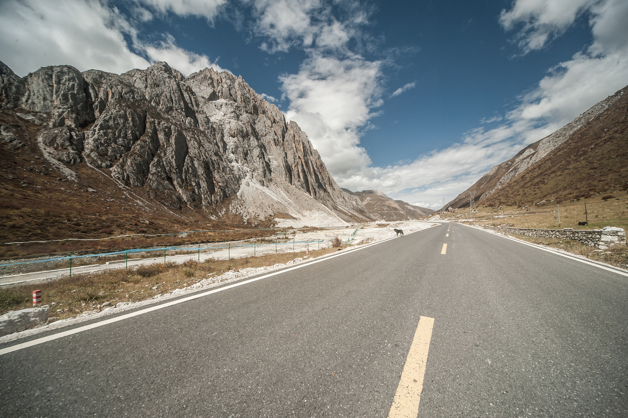 可以轿车都可以走318。现在318路况是不错的除了二郎山、高尔寺山和通麦那需要注意其他都没有问题的帮我用200字详细描述