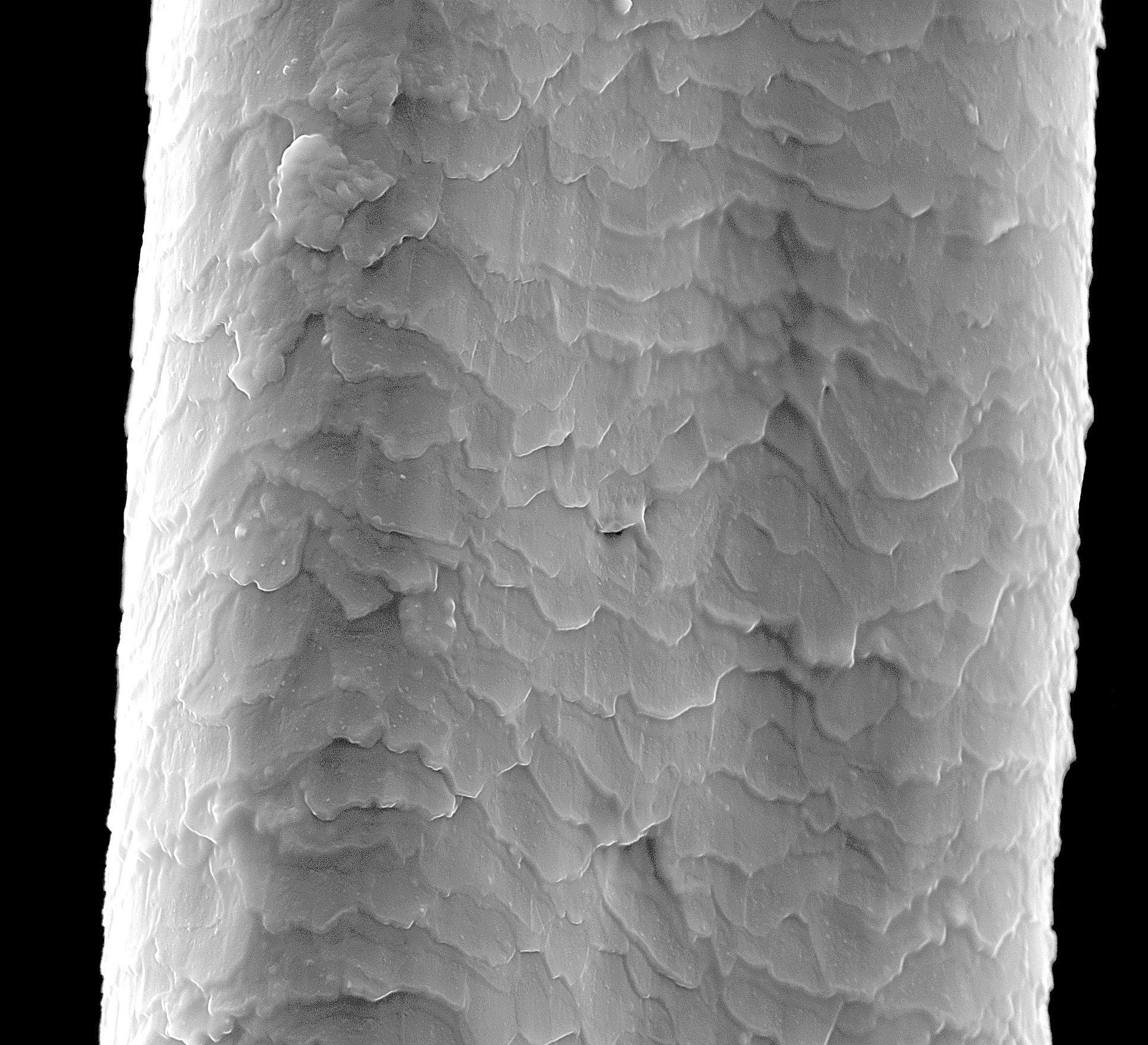 膜的表面形貌对亲疏水性的影响