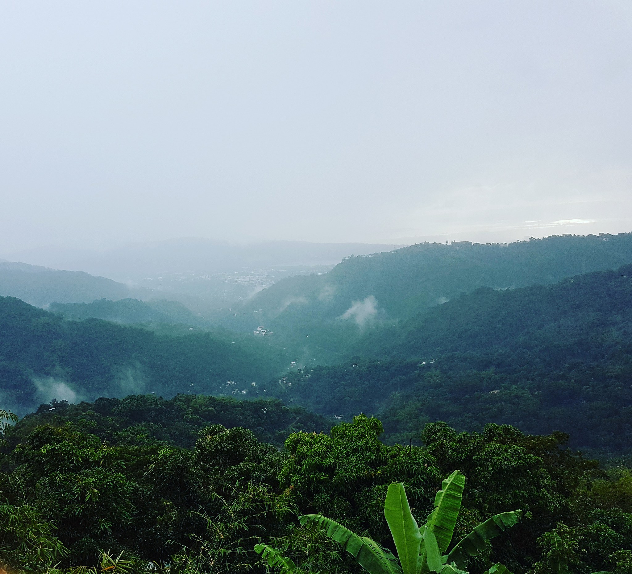 中医望舌：望舌体和望舌苔
