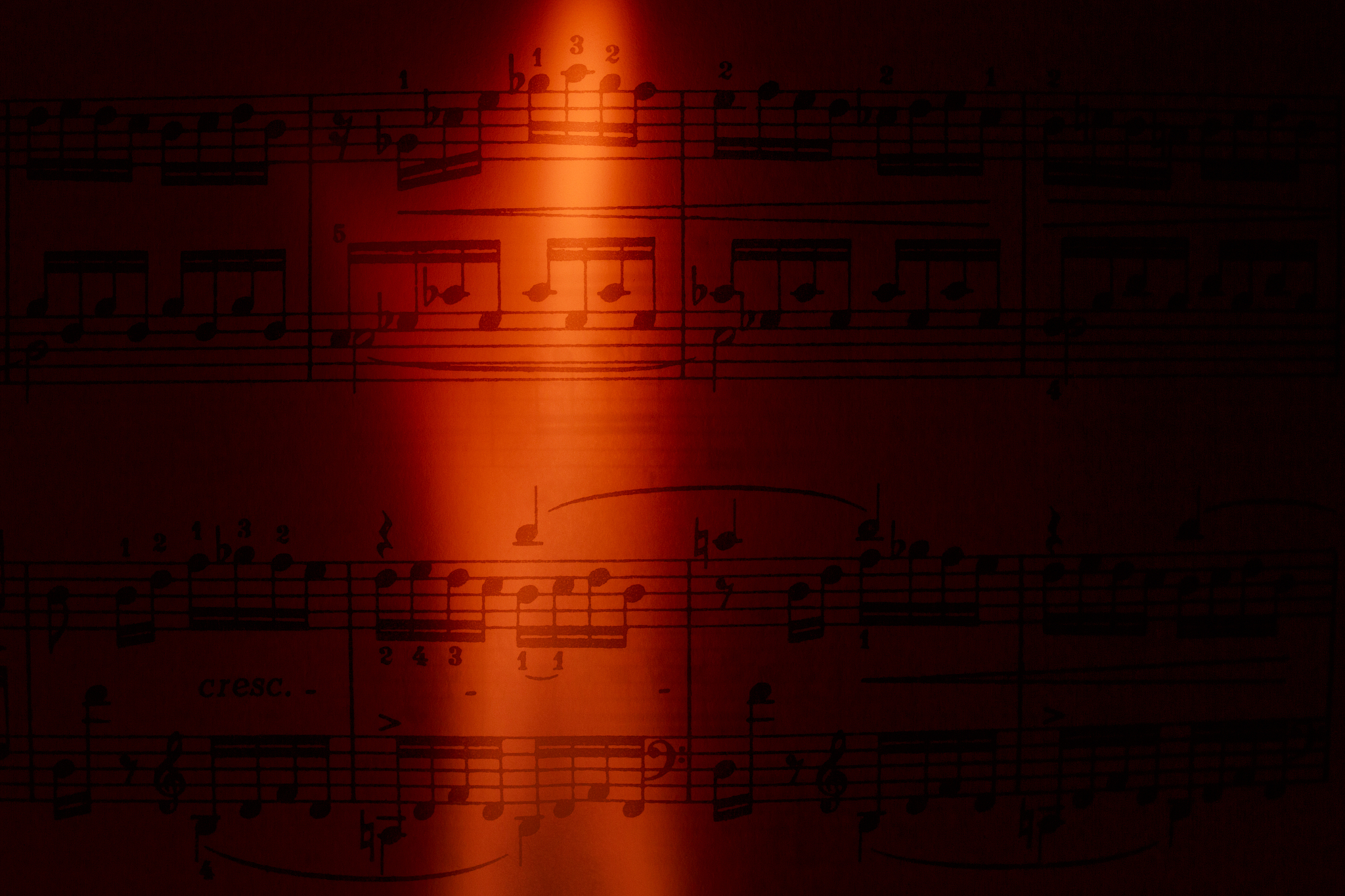 贝多芬月光奏鸣曲第一乐章听后感：温柔的悲伤与梦幻般的快乐