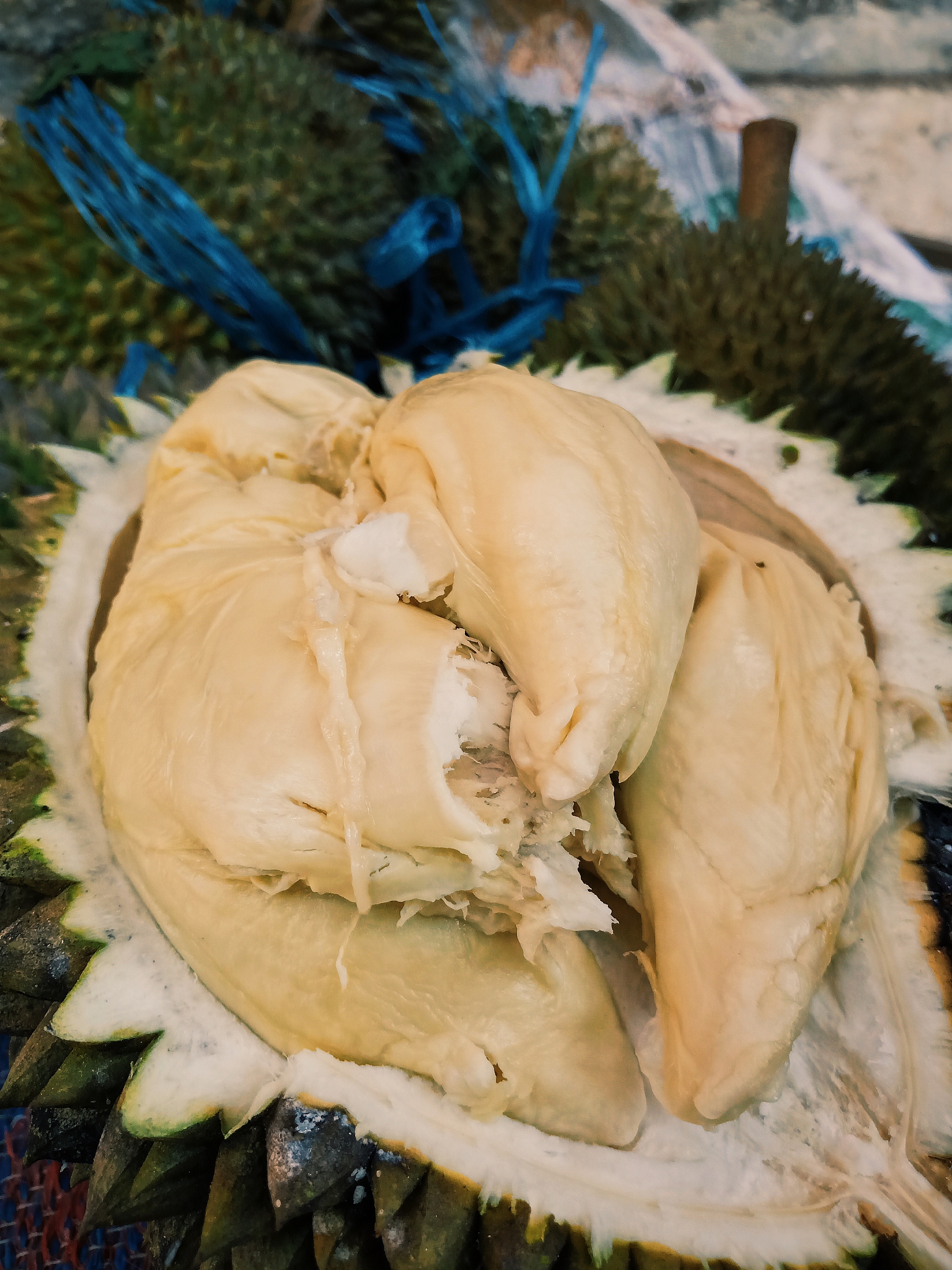 巴掌榴莲核大吗，