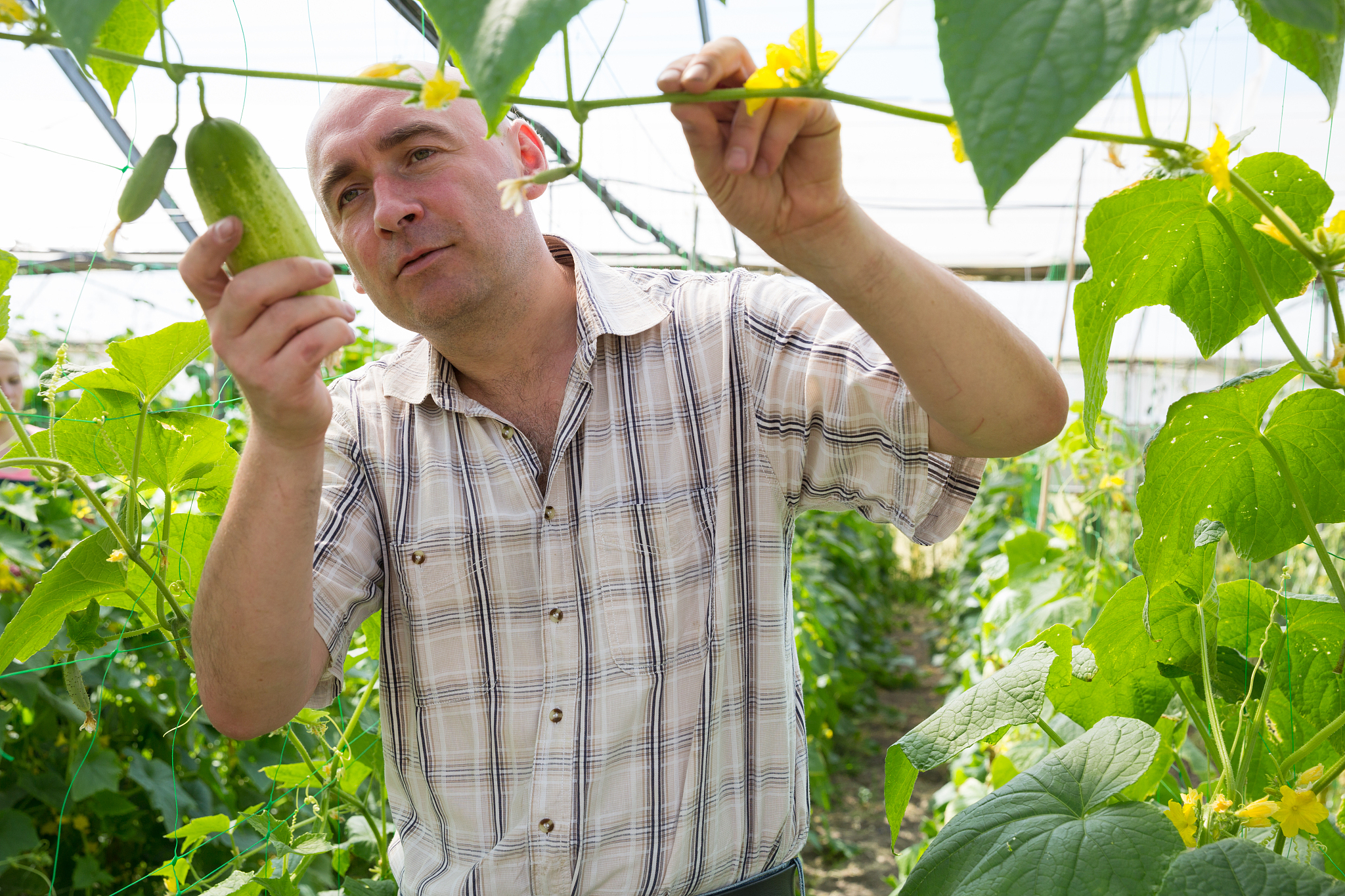 内蒙古农业大学园艺技术专业怎么样