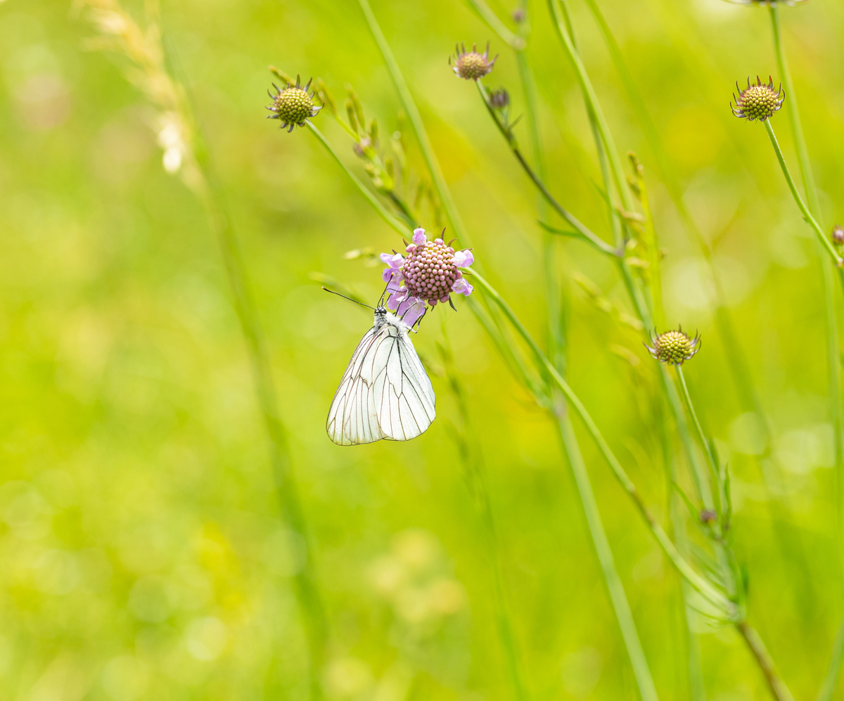 春雨过后，万物复苏，生机盎然