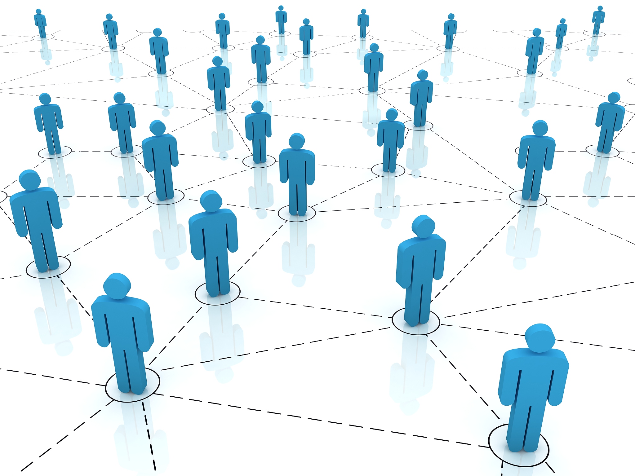 social network