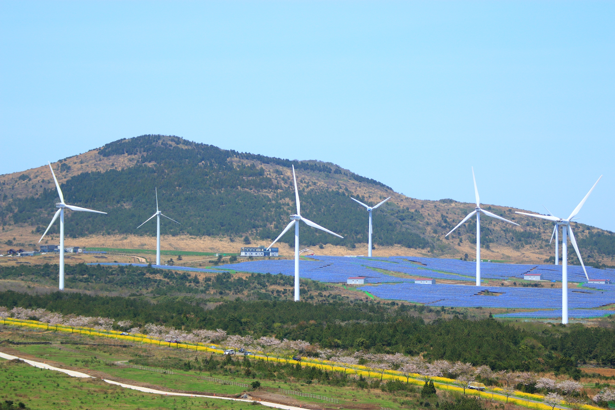 burnnall, garden, mountain, clean energy, wind turbines, solar g