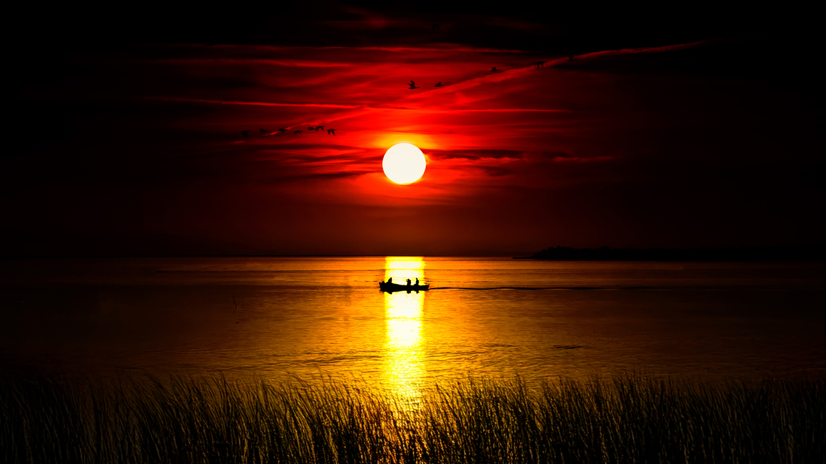 哪条规范 规定电梯接地电阻