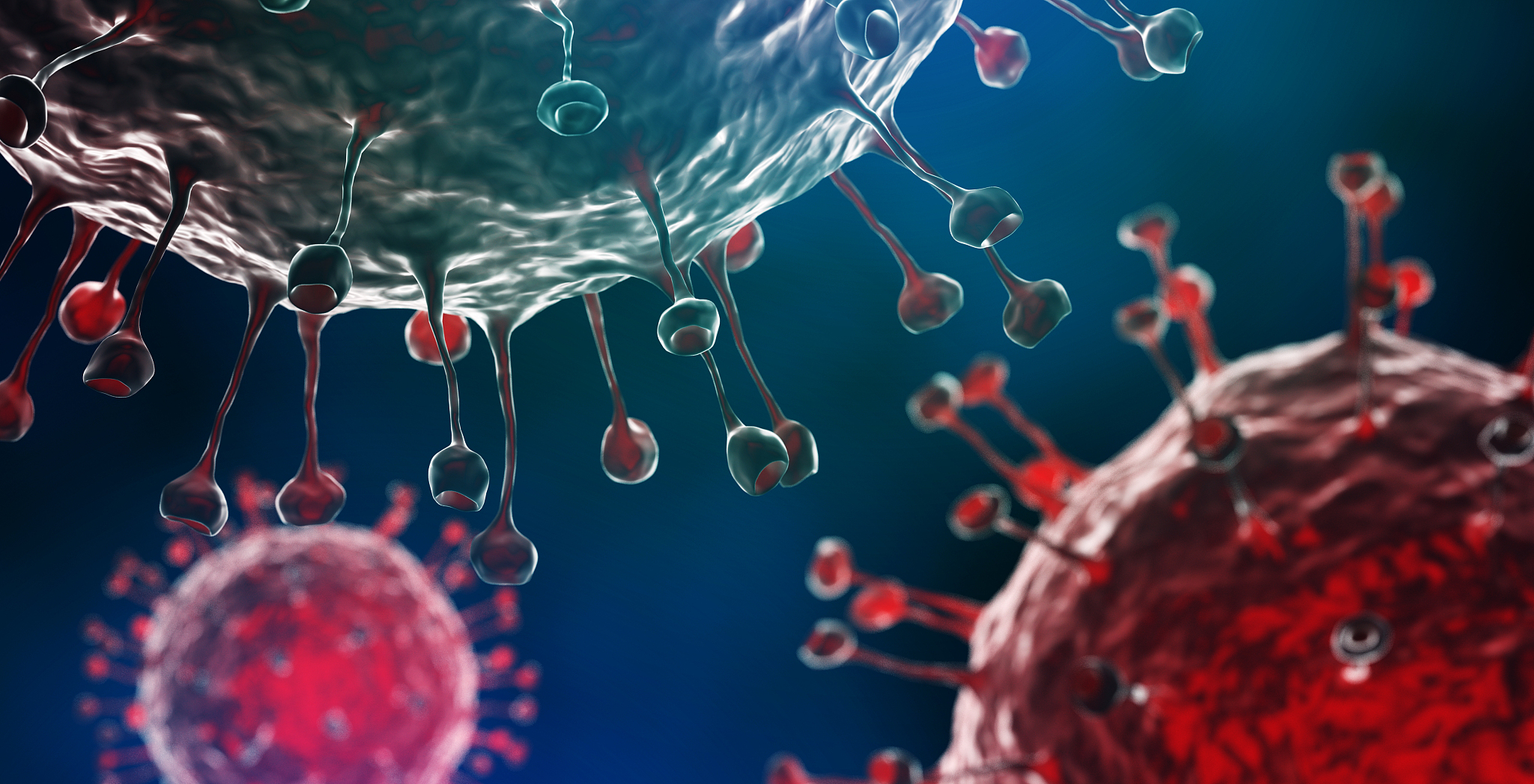 国际生物化学与细胞生物学杂志现任主编是谁？