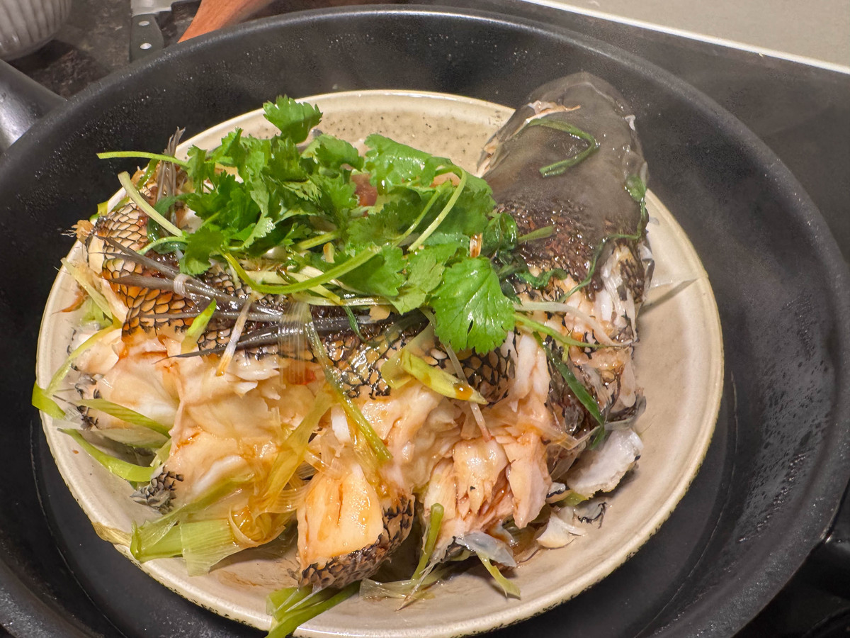 简单易学！煮鱼秘诀，让你轻松做出美味鲜香鱼菜