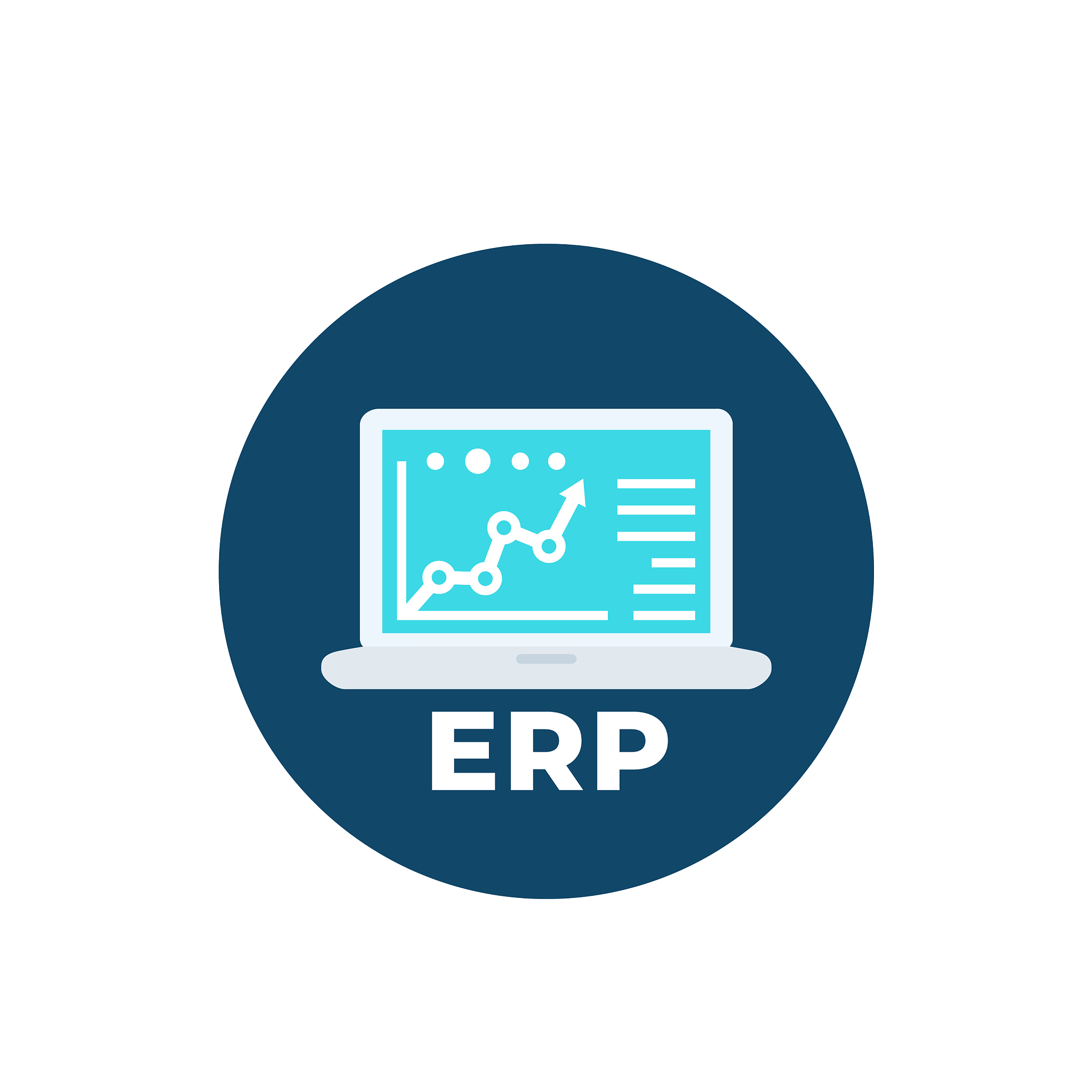 erp system software icon