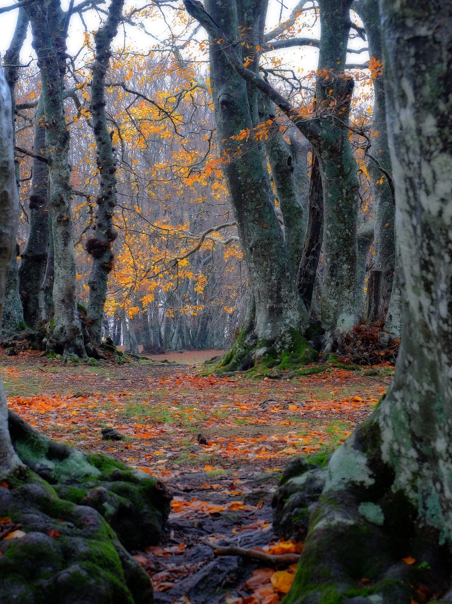 我的世界手机端参数怎么改
