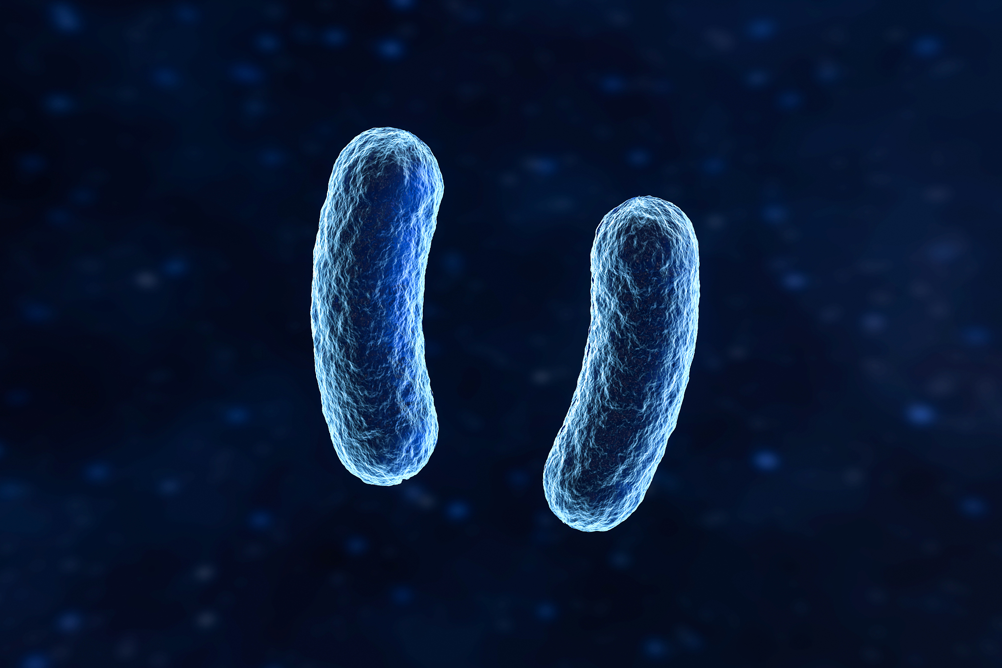 关于日灼与细菌的关系