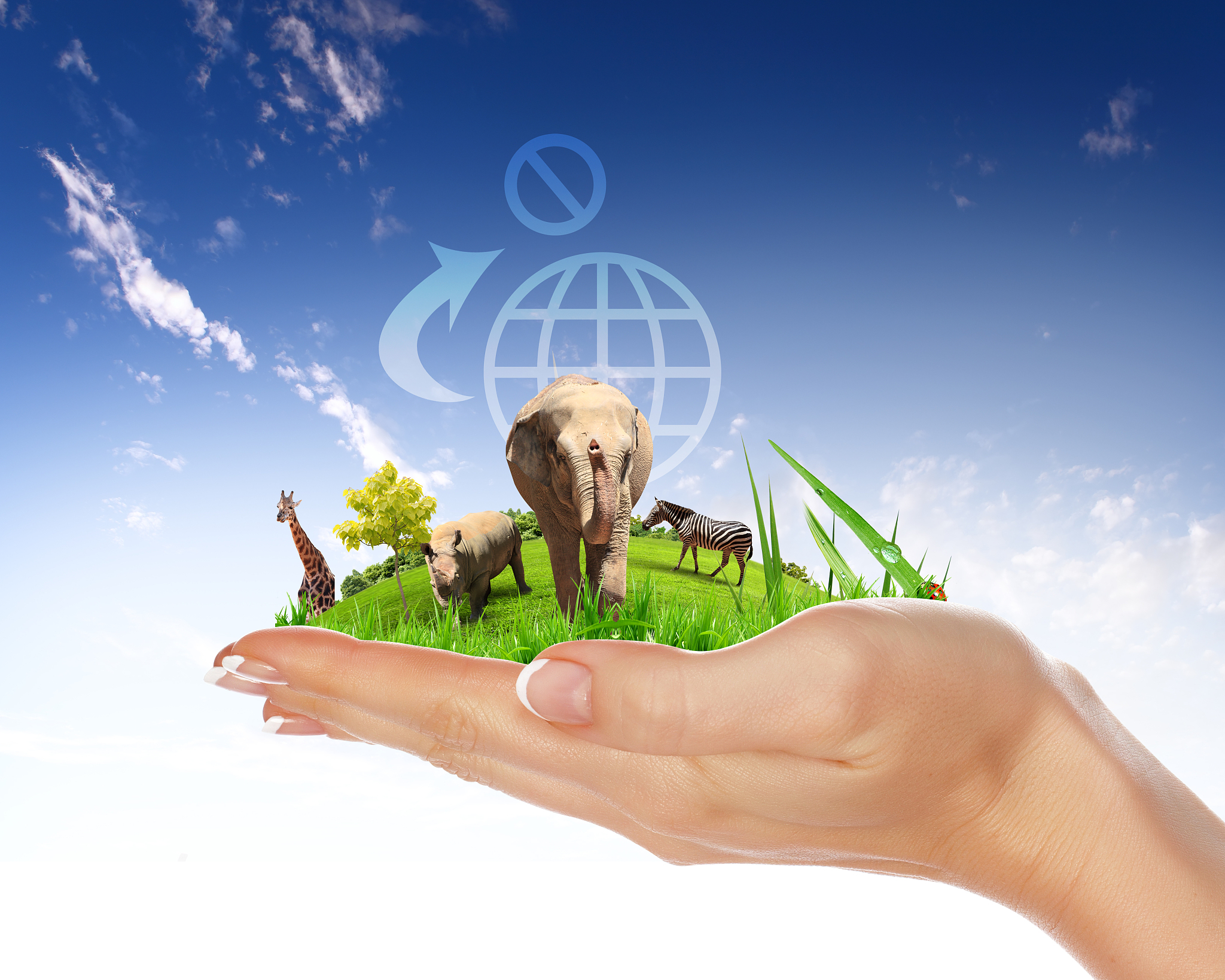 三年级语文第二单元知识点：善待动物，从了解开始