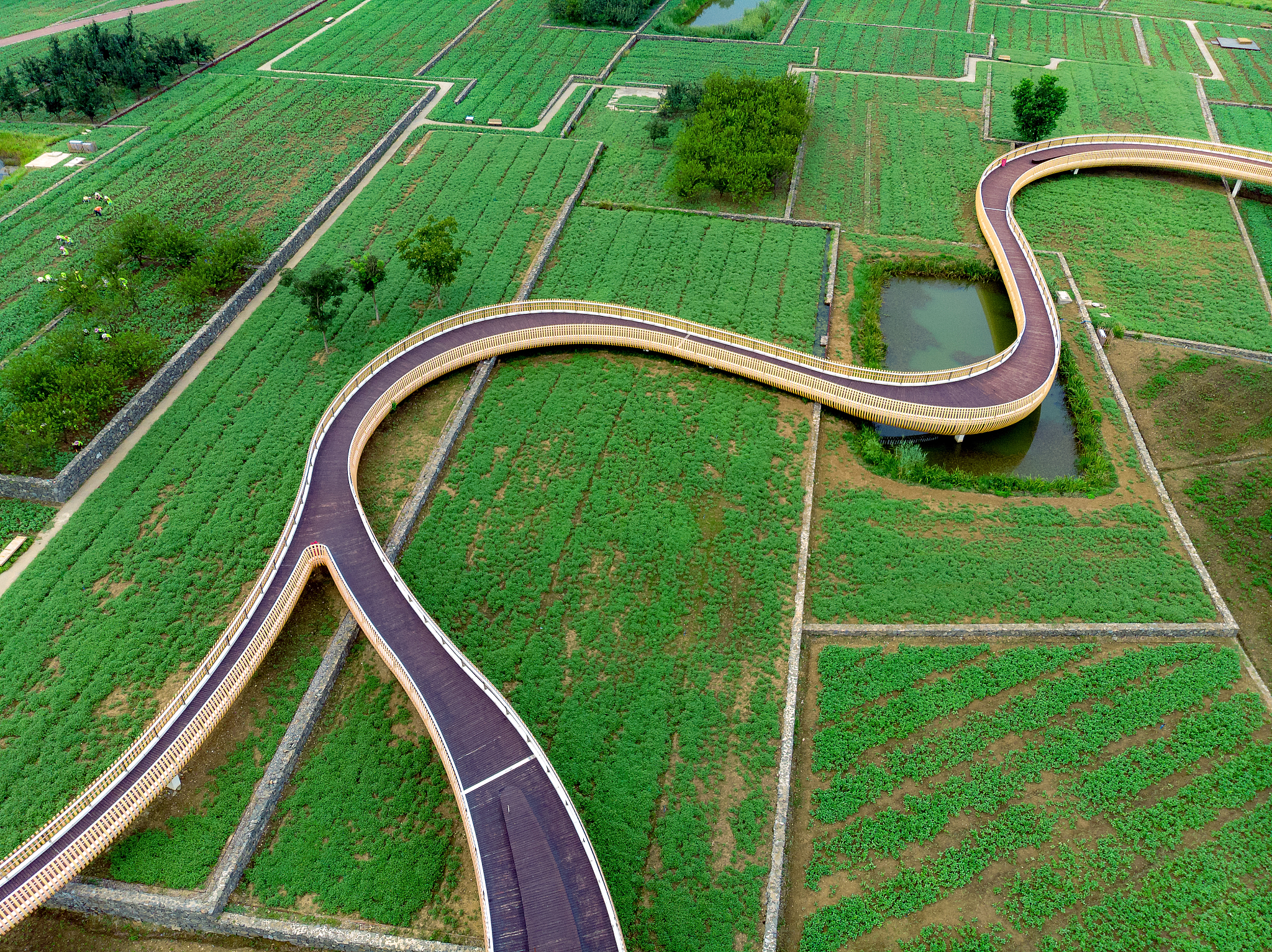 江苏省宿豫中等专业学校在哪里学校地址