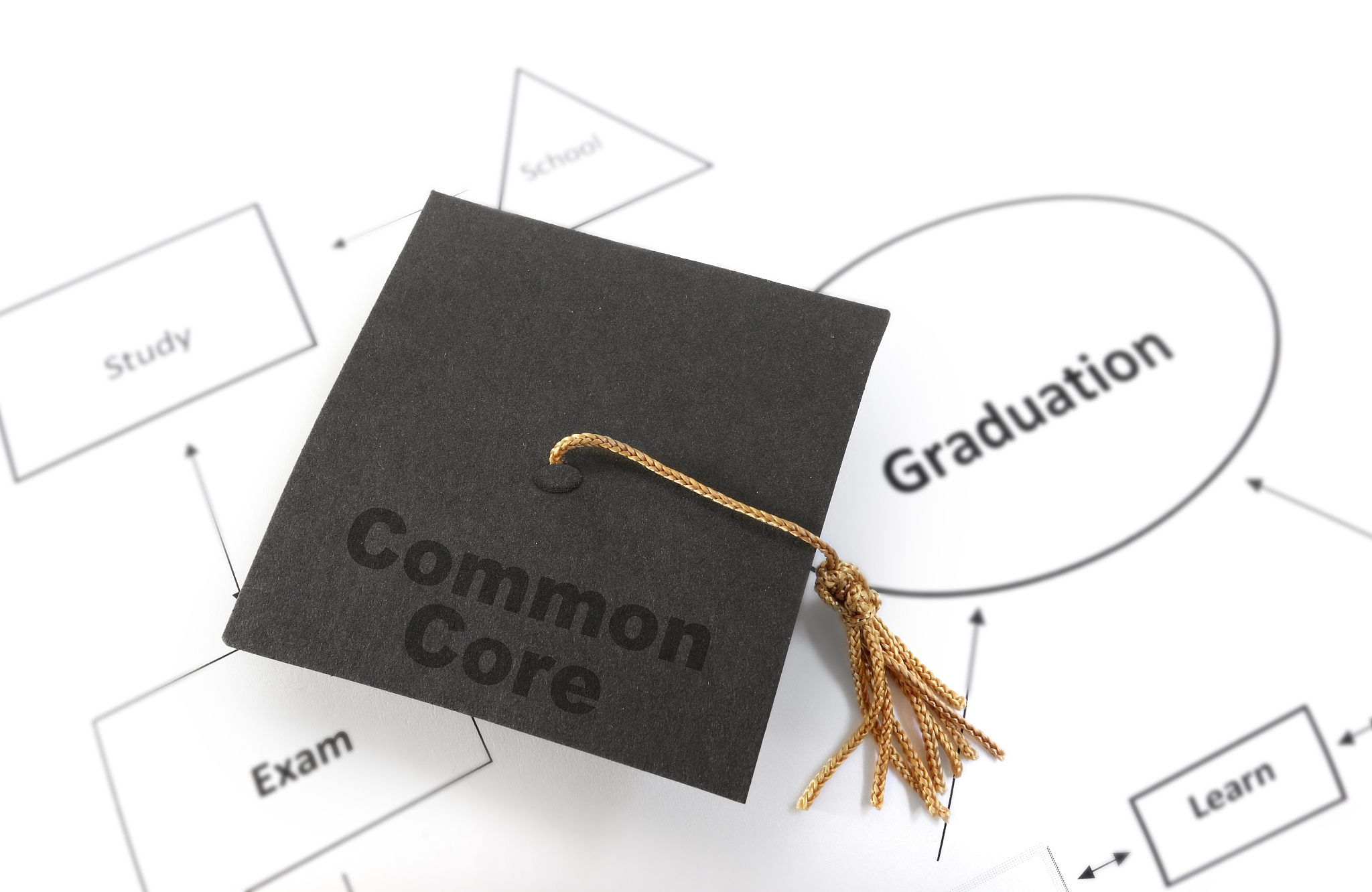 课程标准定义：纲领性文件，确定课程水平和结构