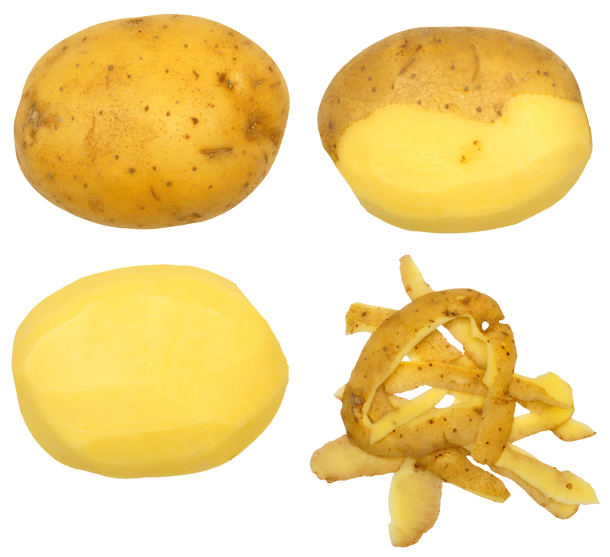 Gardener's Best® Jumbo Potato Grow Bag Review: Grow Potatoes in Small Spaces