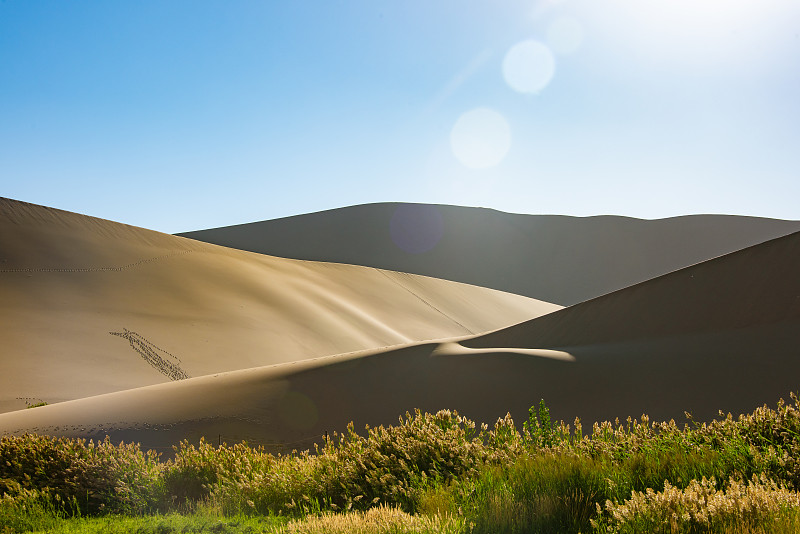 甘肃中专女生选专业指南：避免入错行，成就精彩人生