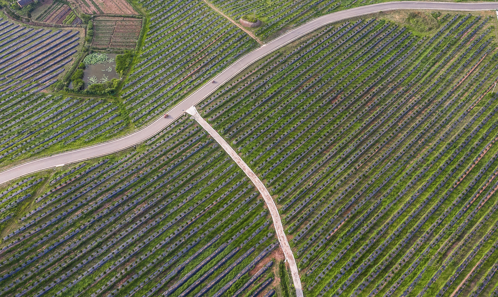 你是一名高校科研人员现需要撰写一篇关于锂电产业与职业院校共建产业联盟前景的报告要求不少于3000字。