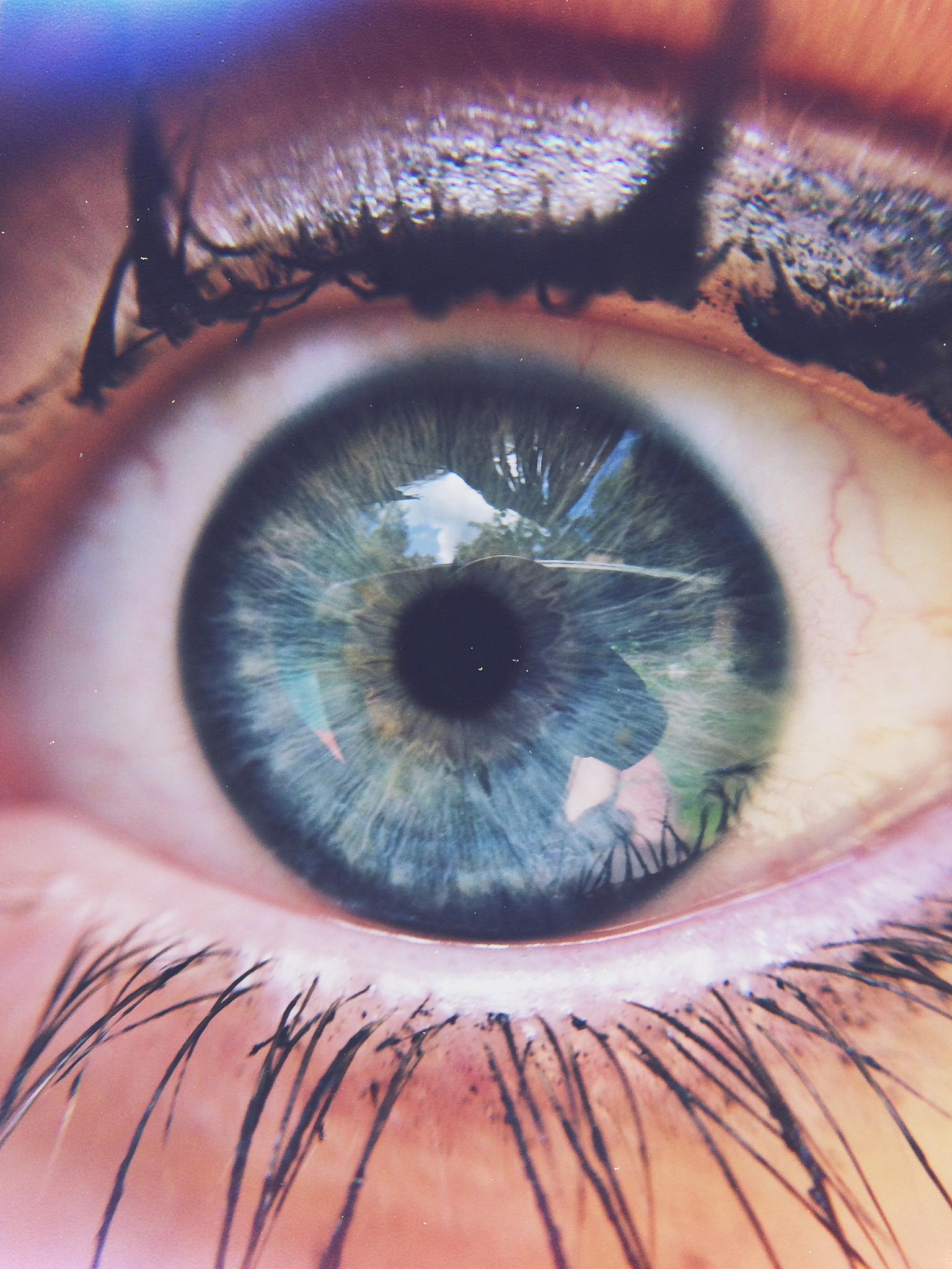 close-up portrait of human eye