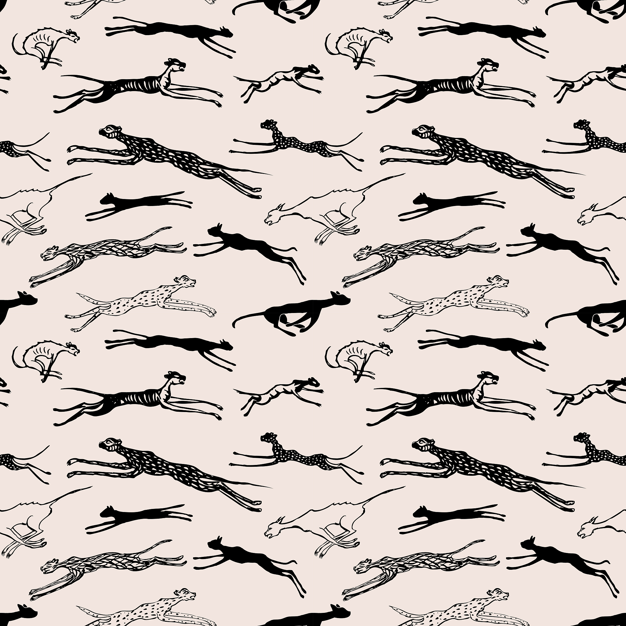 fill Cats of all kinds are present in the legends religion mythology and history of 0 _____many_______ different cultures Cave paintings created by early humans display different types of wild cats 39