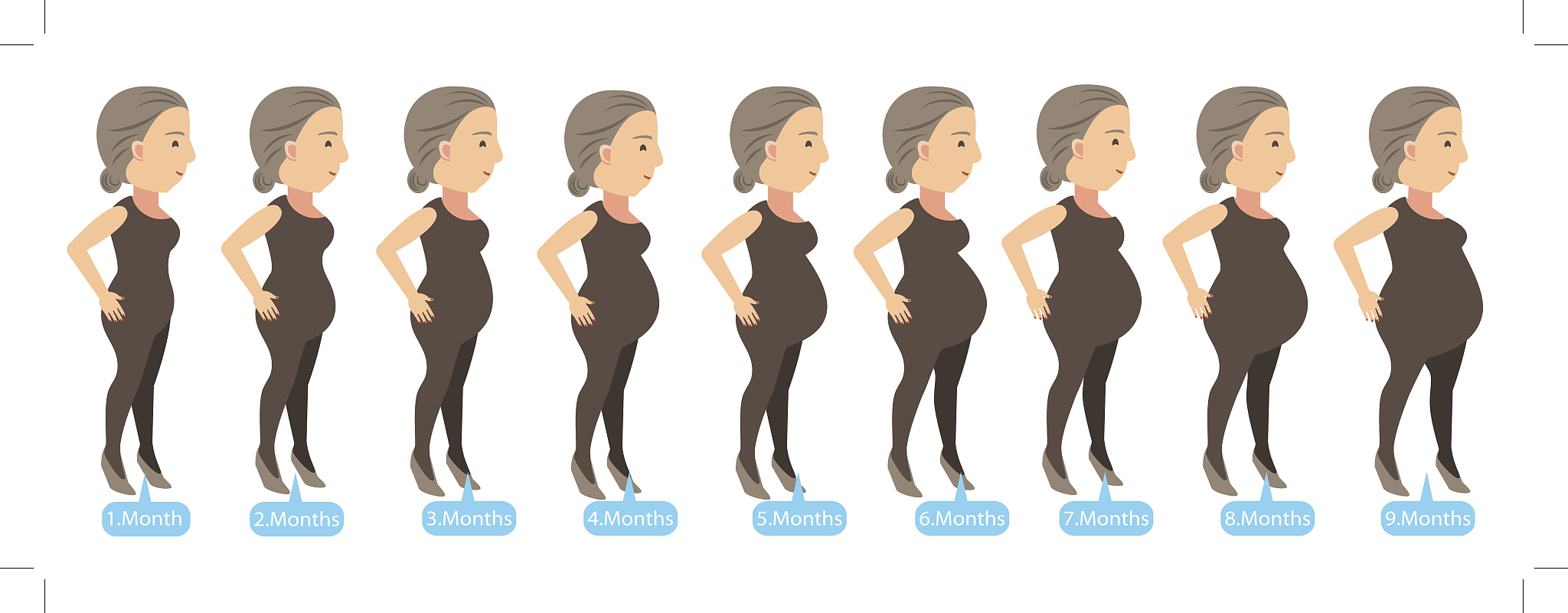 pregnancy stages