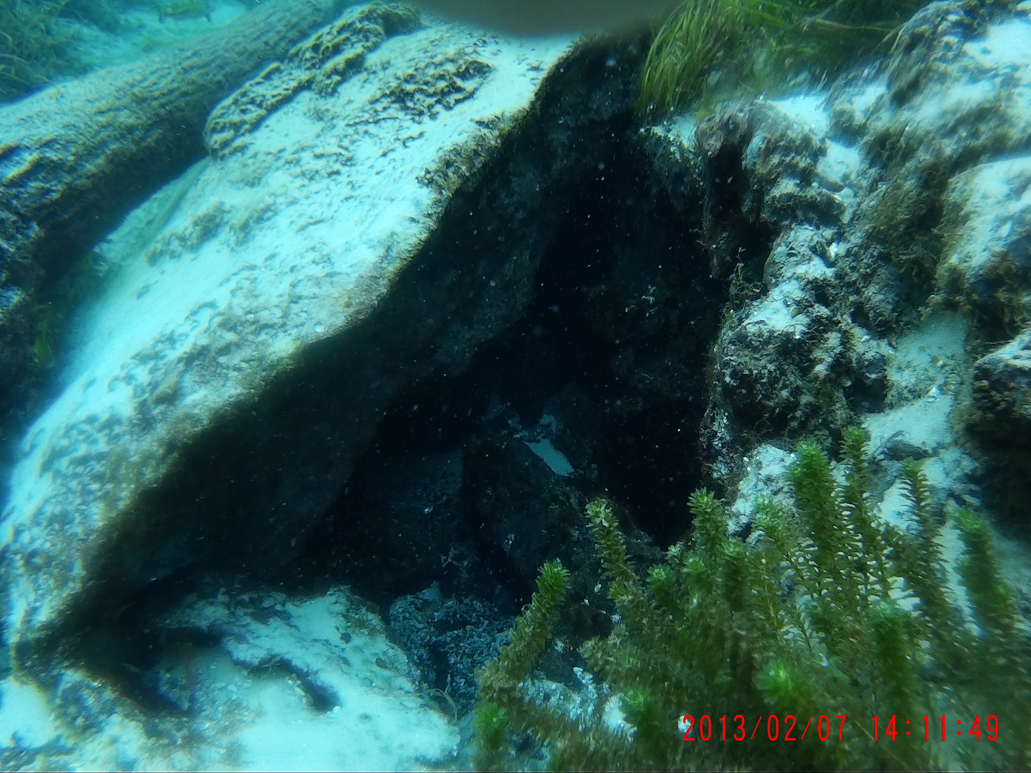 under water adventure