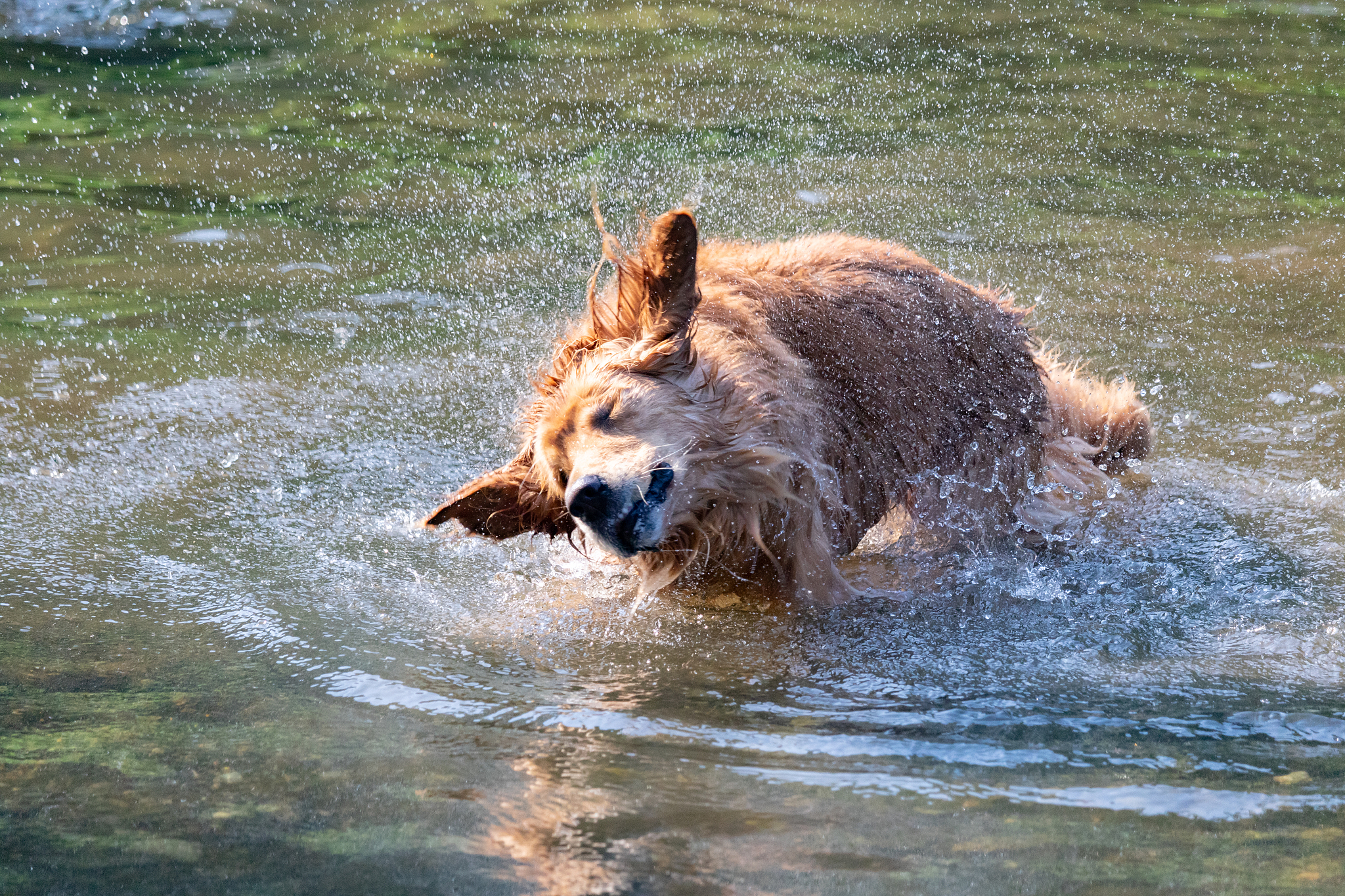 游戏设计需求变化范围分析：类型、规模、周期与玩家反馈
