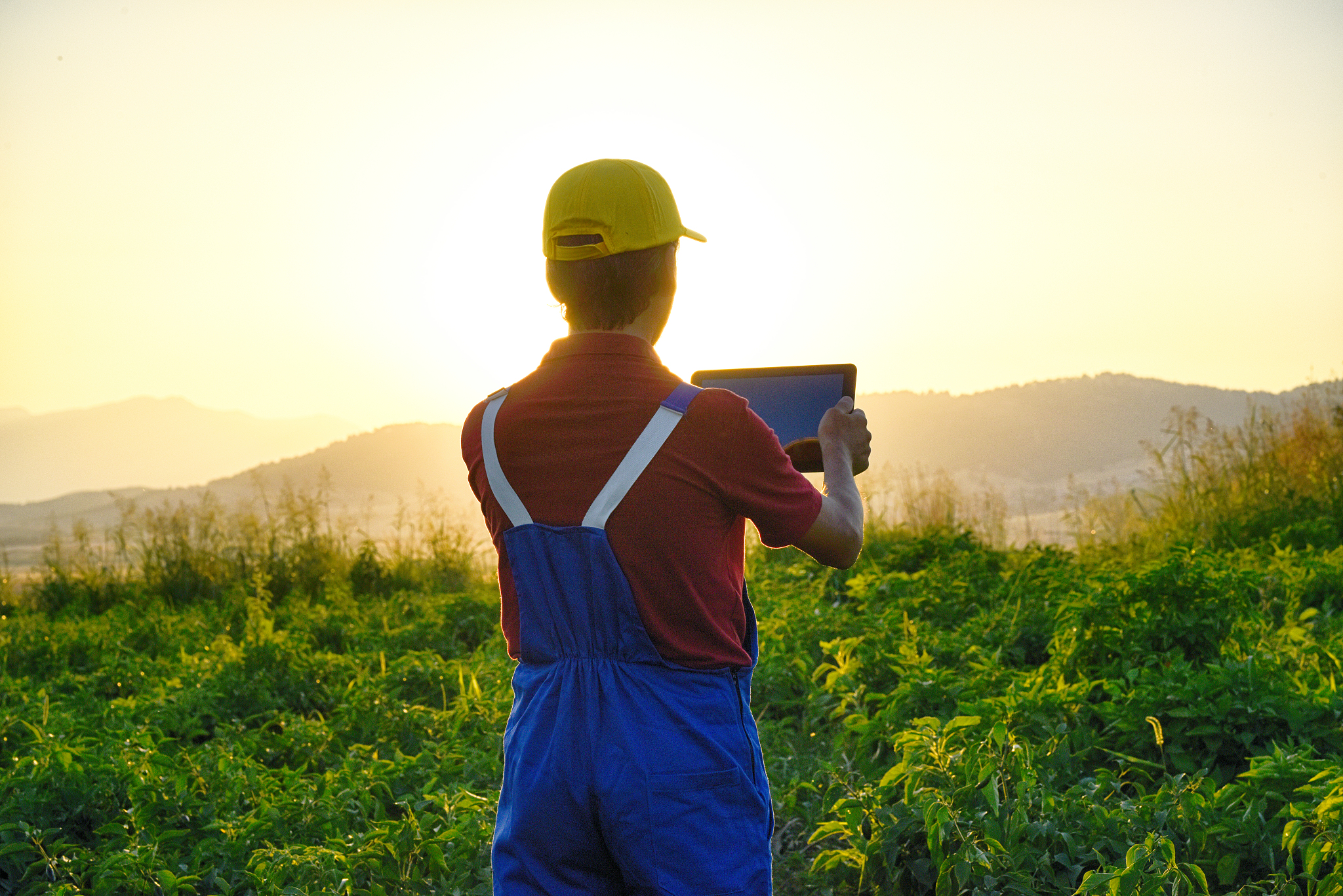 曲靖农业职业学校五年制高职专业介绍 - 培养现代农业人才