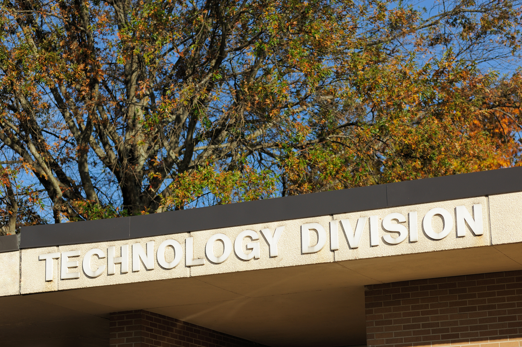 technology division