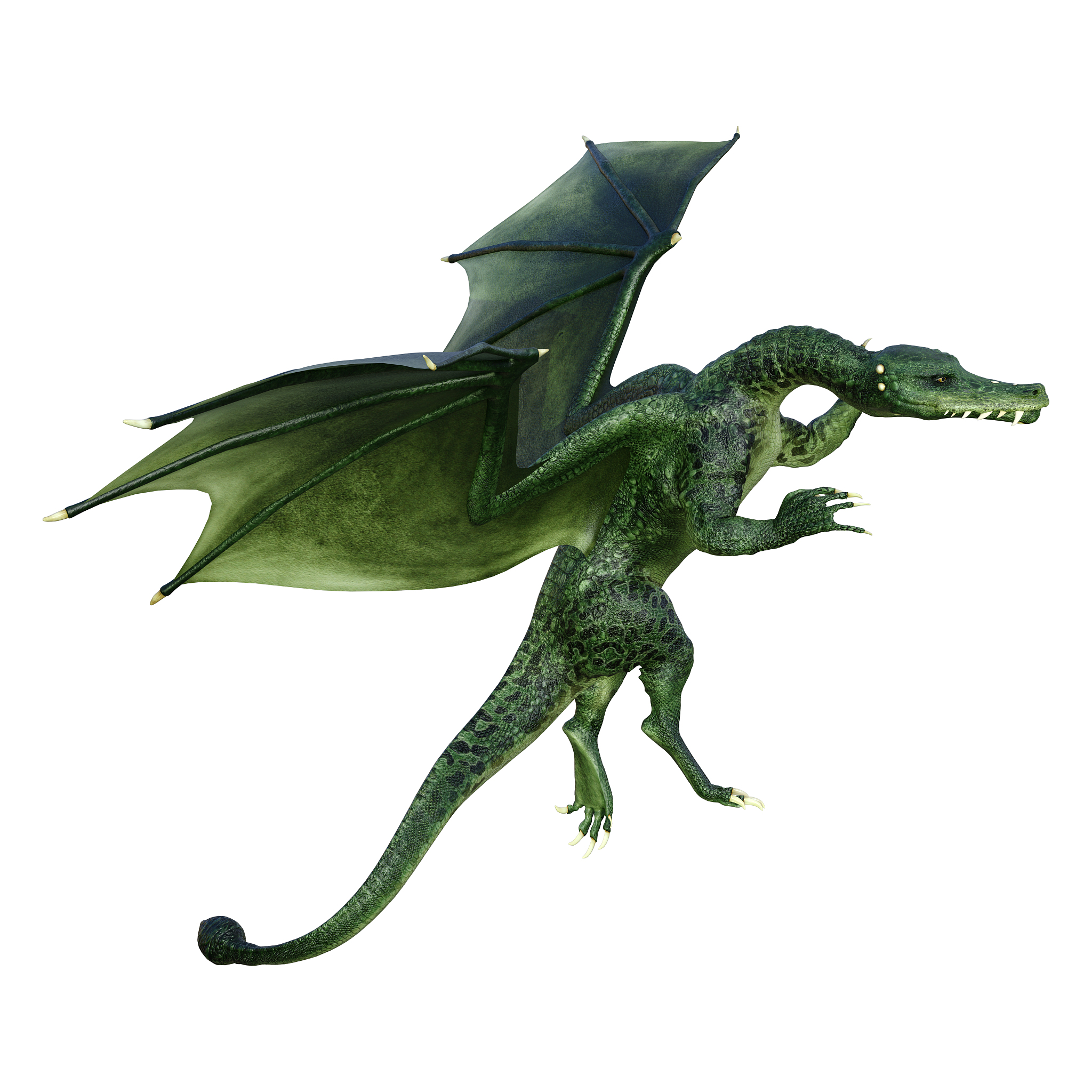 3d illustration fantasy dragon on white
