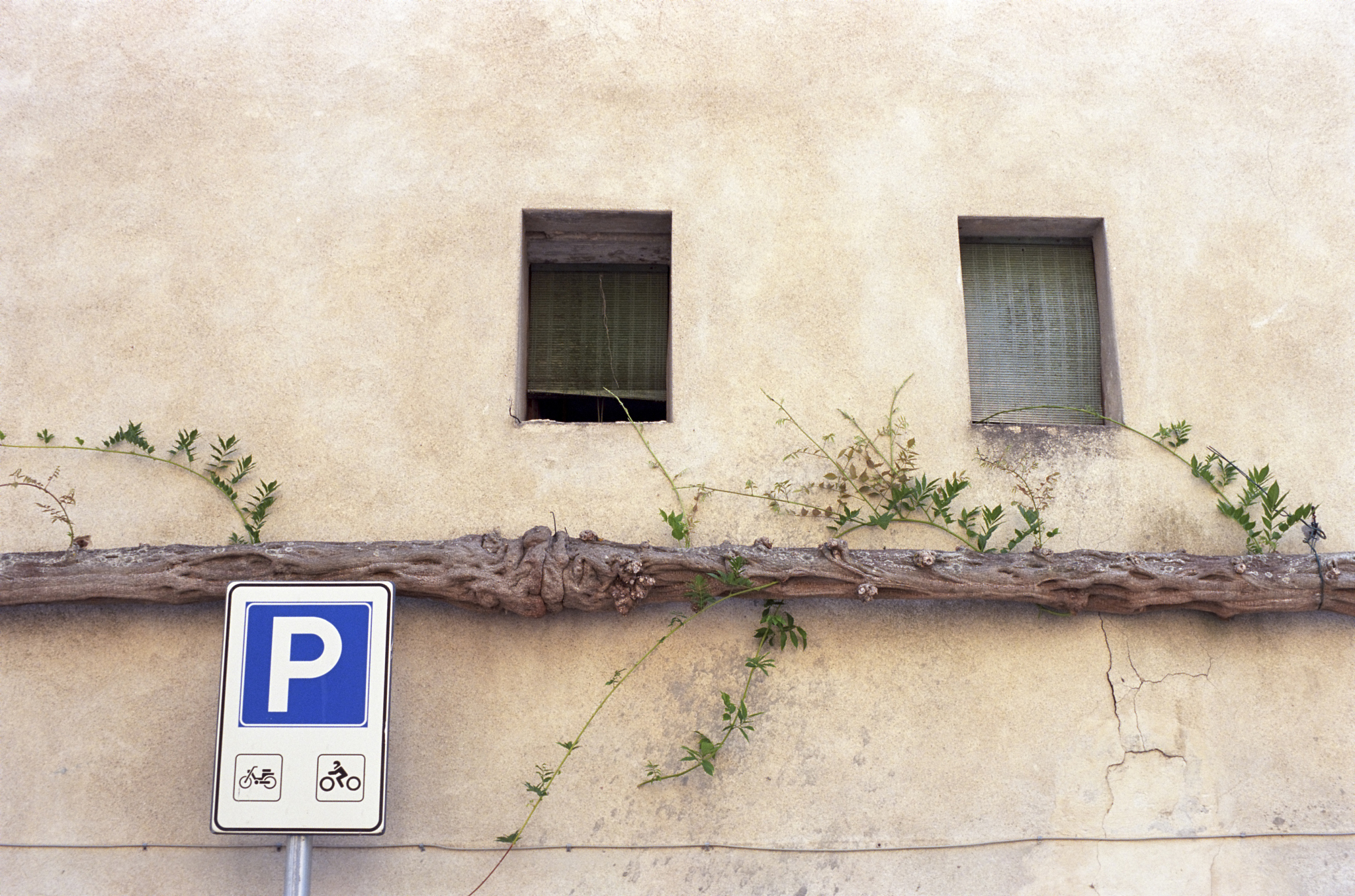 car park sign with ivy