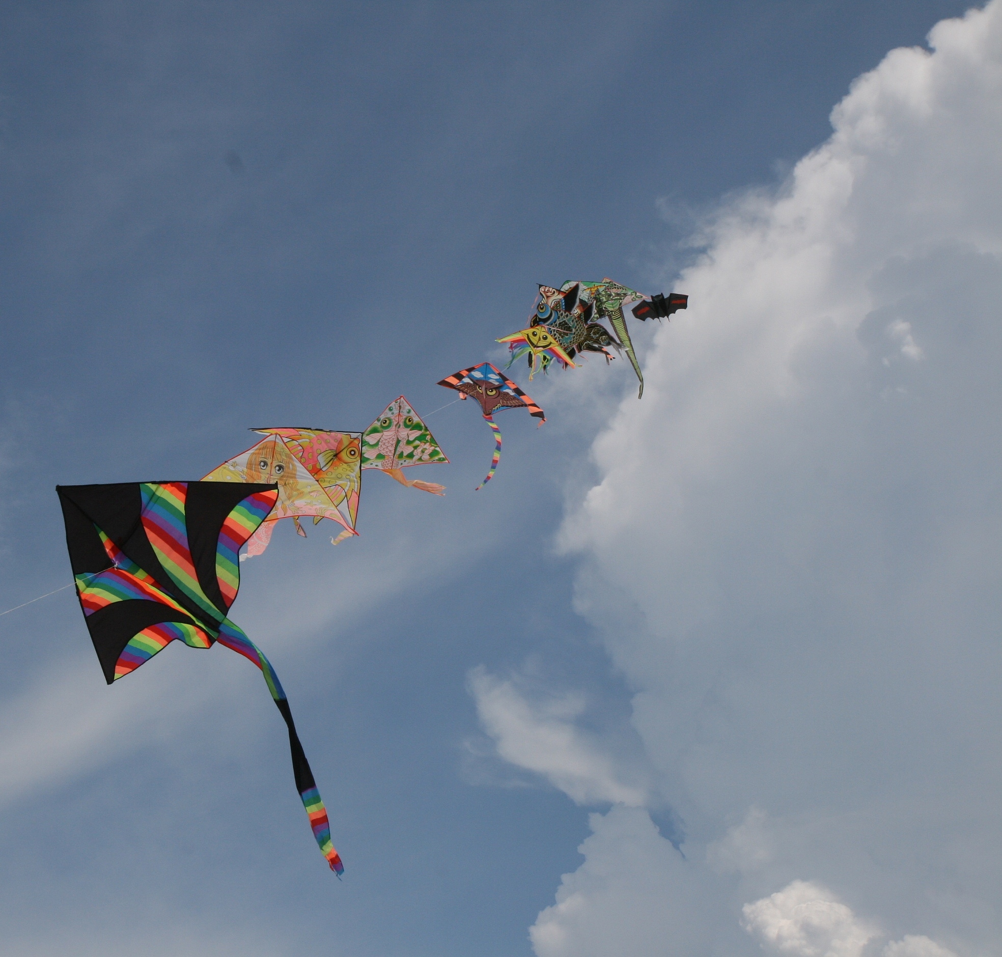 kite in the sky