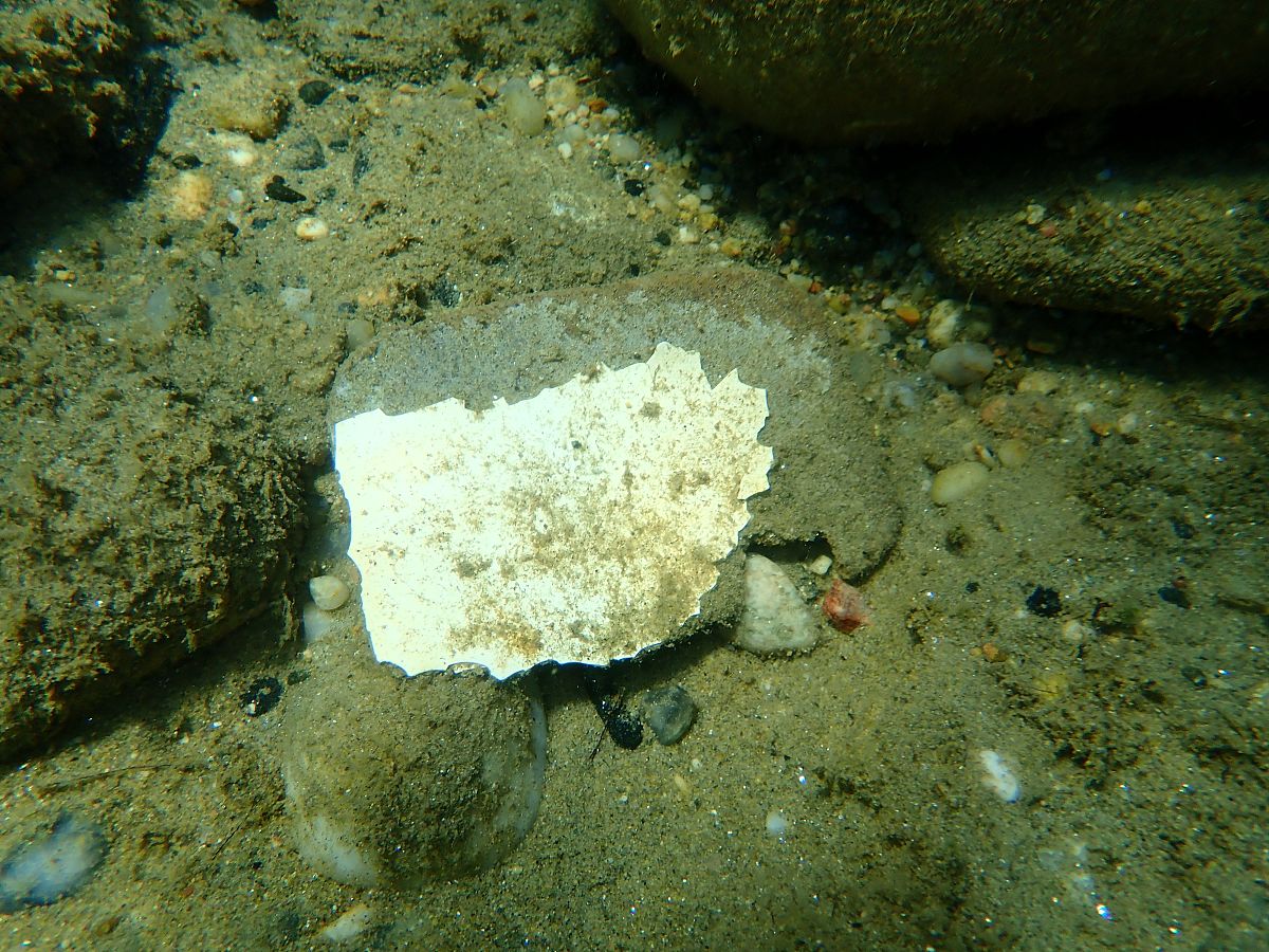 灰水排海要求：保护海洋生态系统的关键