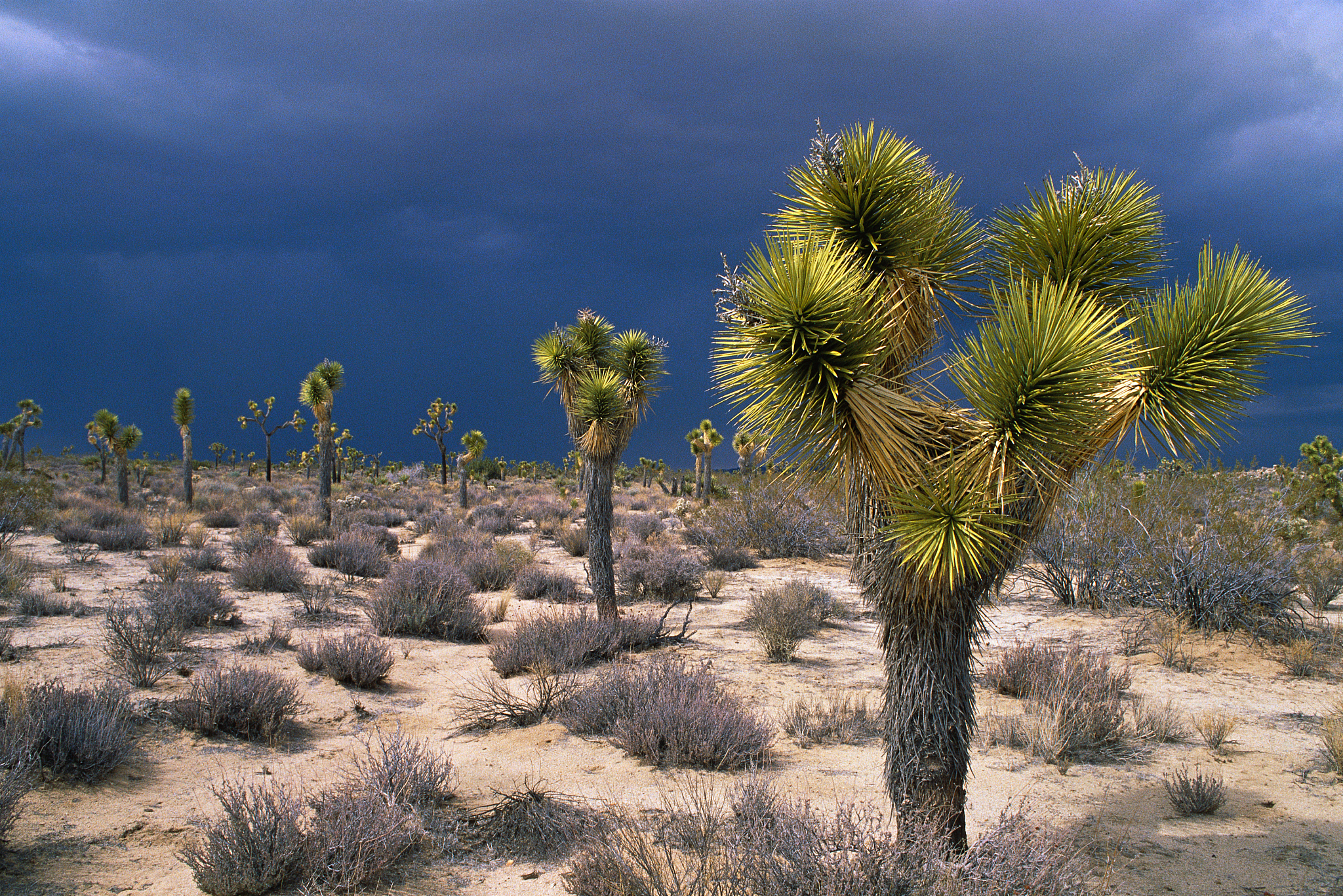 高速公路项目部档案部实习日报 - 第一天收获满满